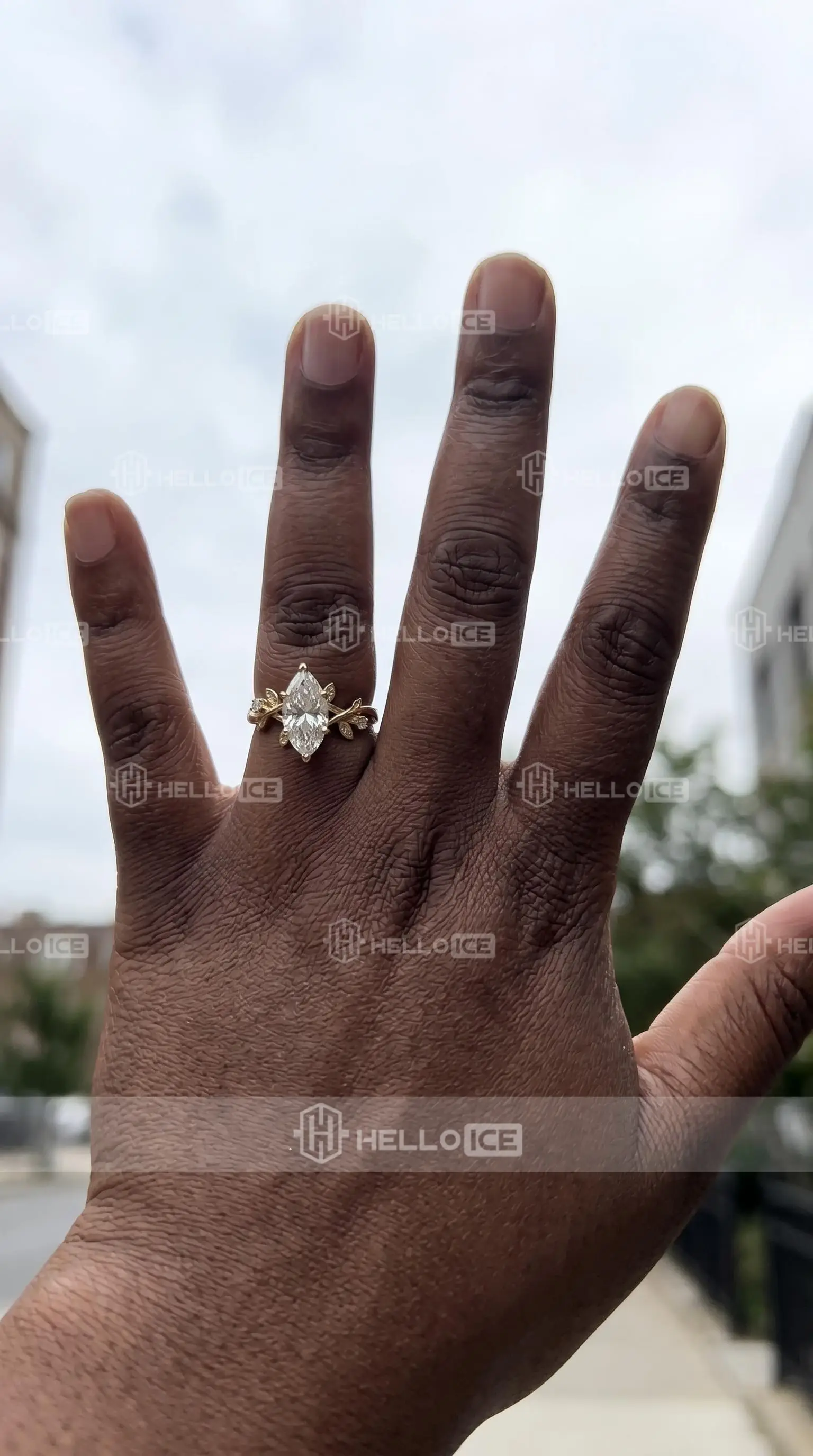 Helloice Review Image