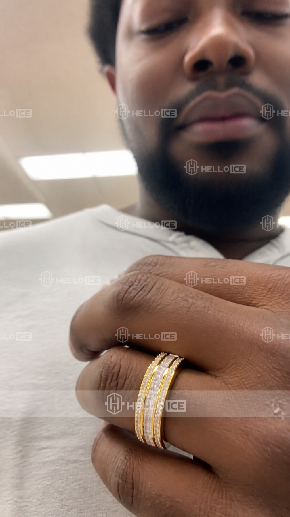 Helloice Review Image