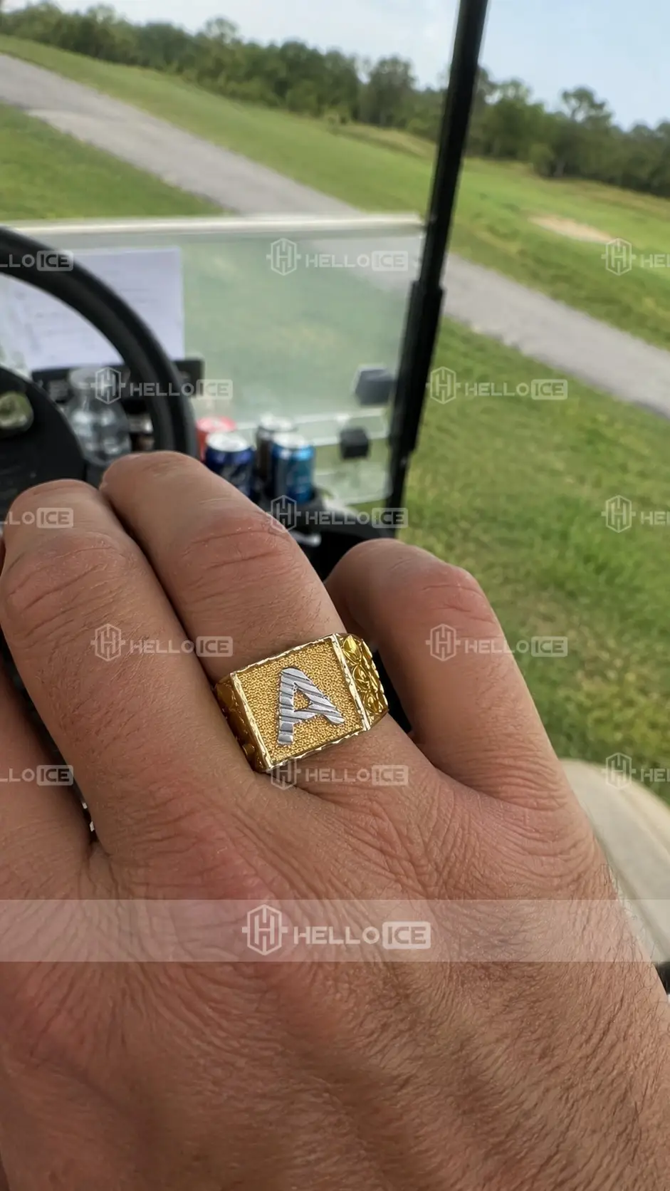 Helloice Review Image