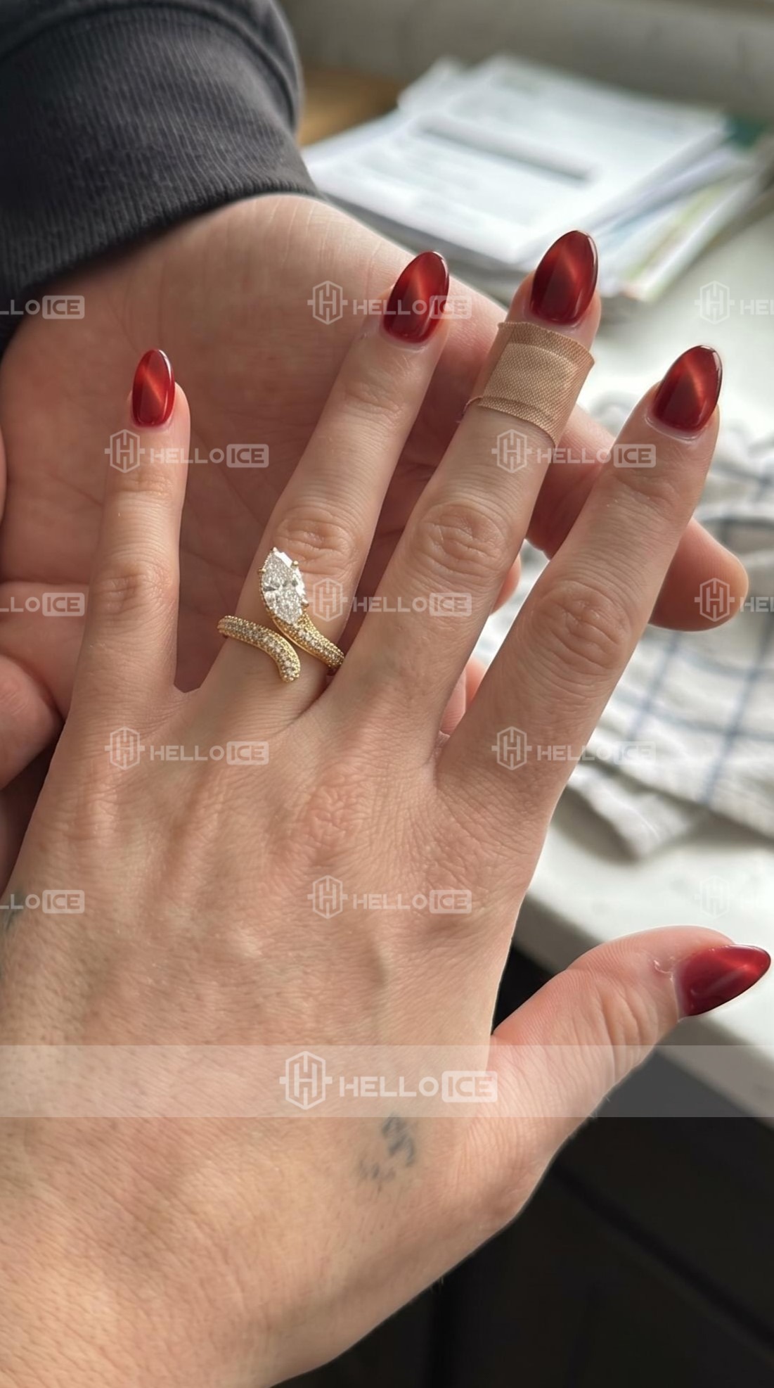 Helloice Review Image