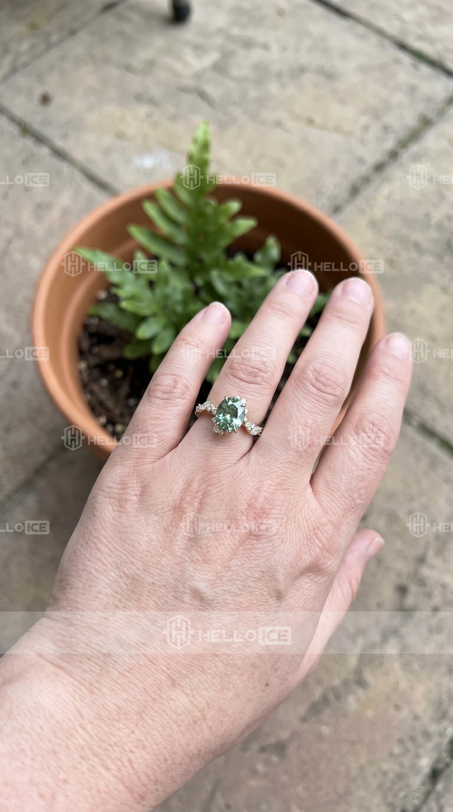 Helloice Review Image