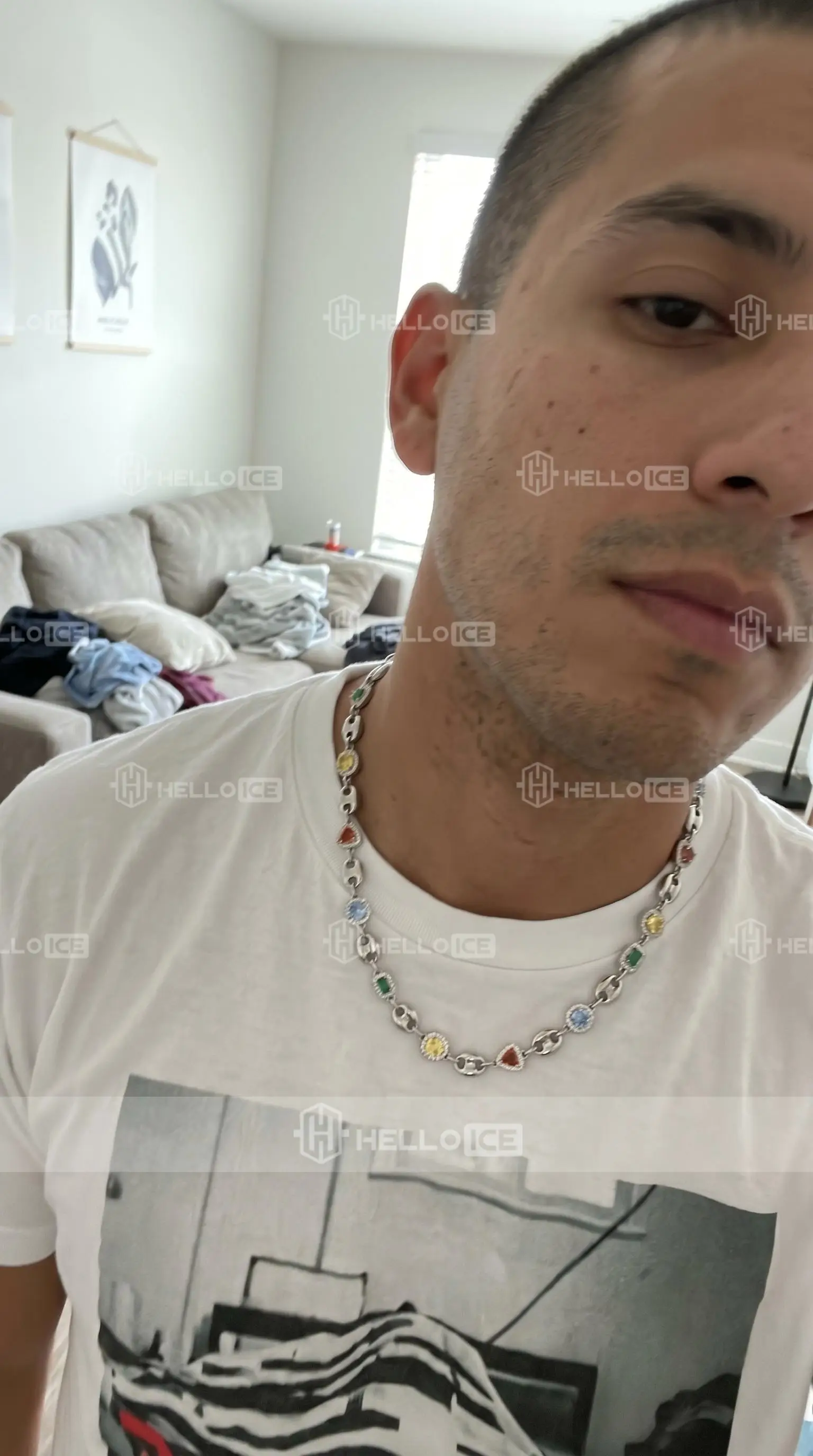 Helloice Review Image