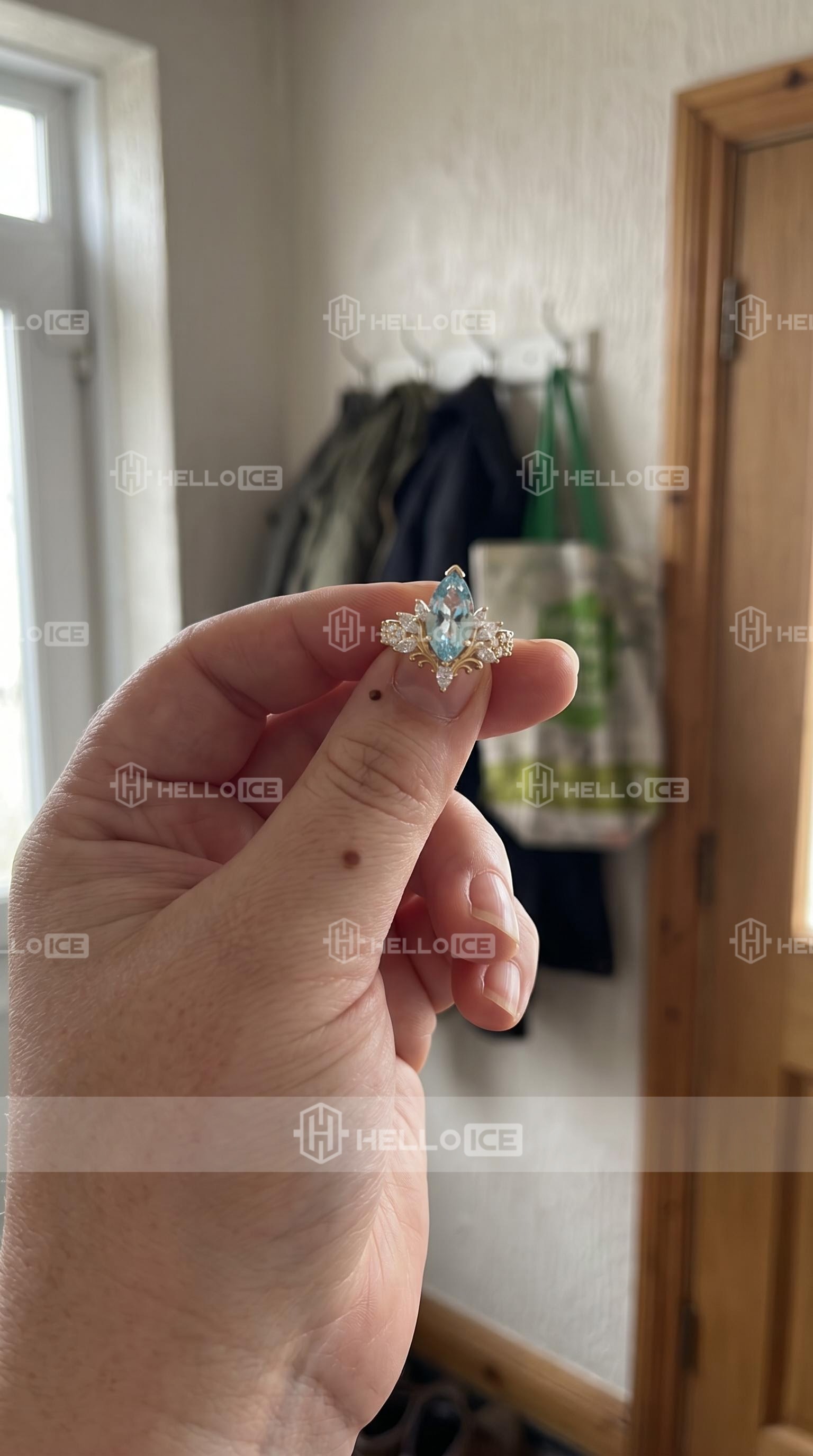 Helloice Review Image