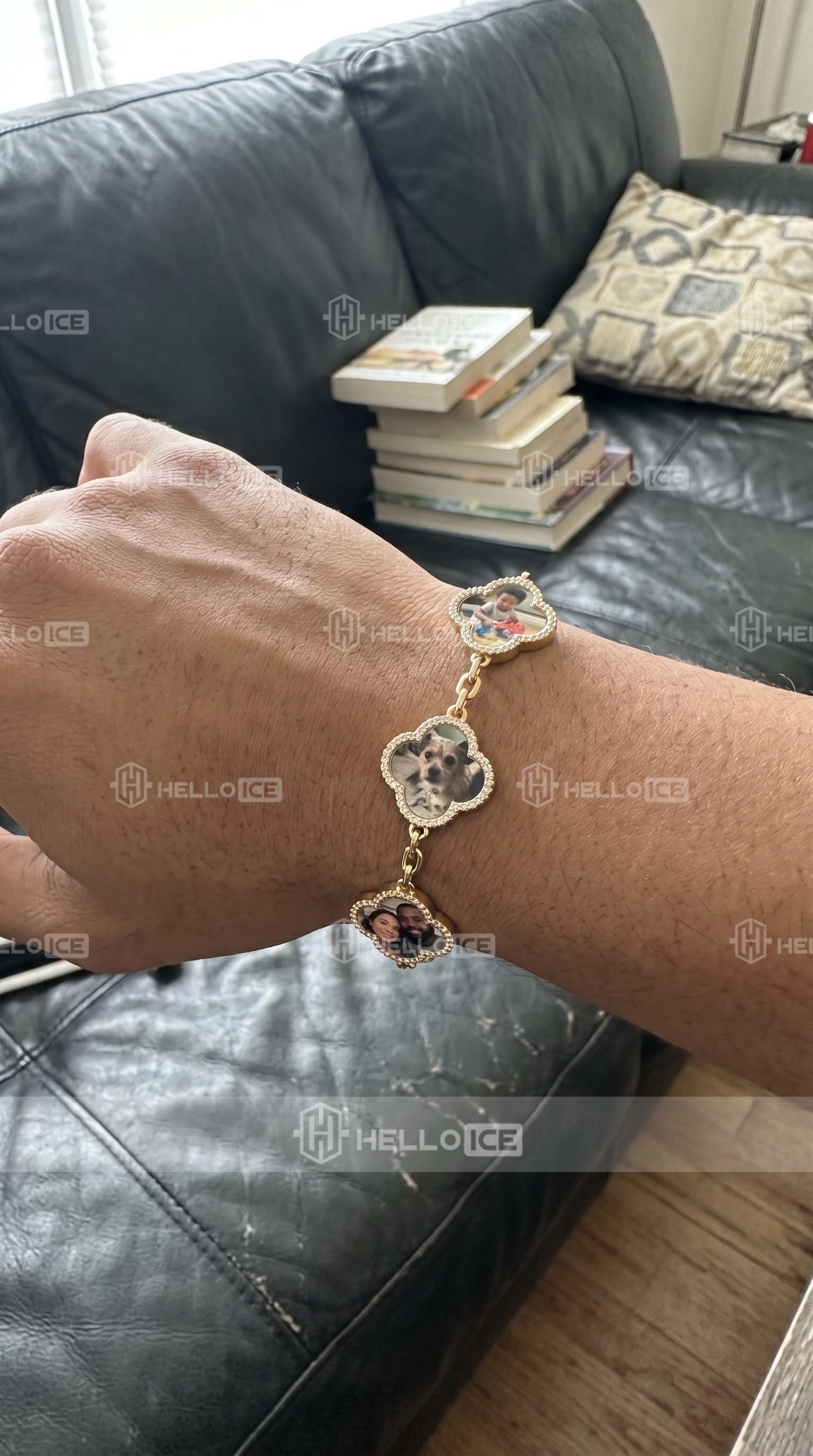 Helloice Review Image