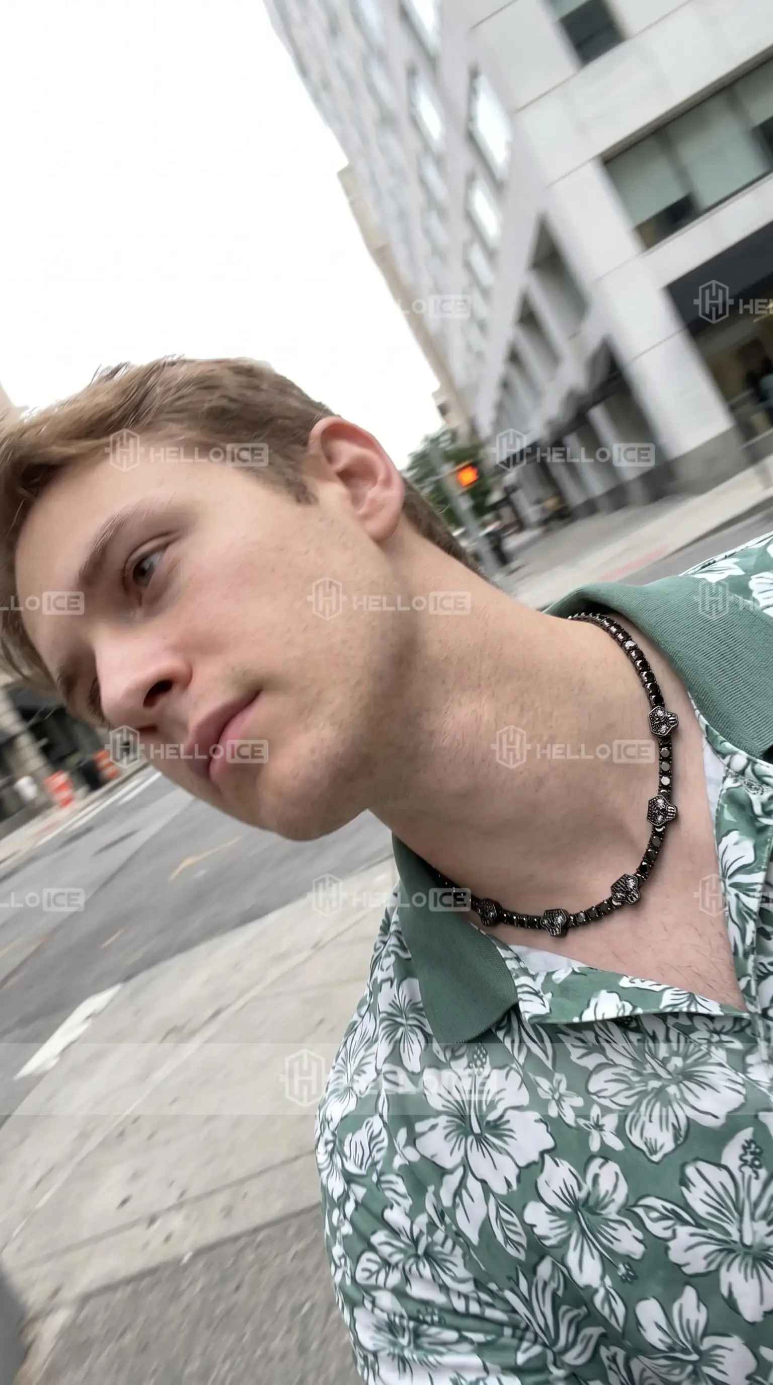 Helloice Review Image