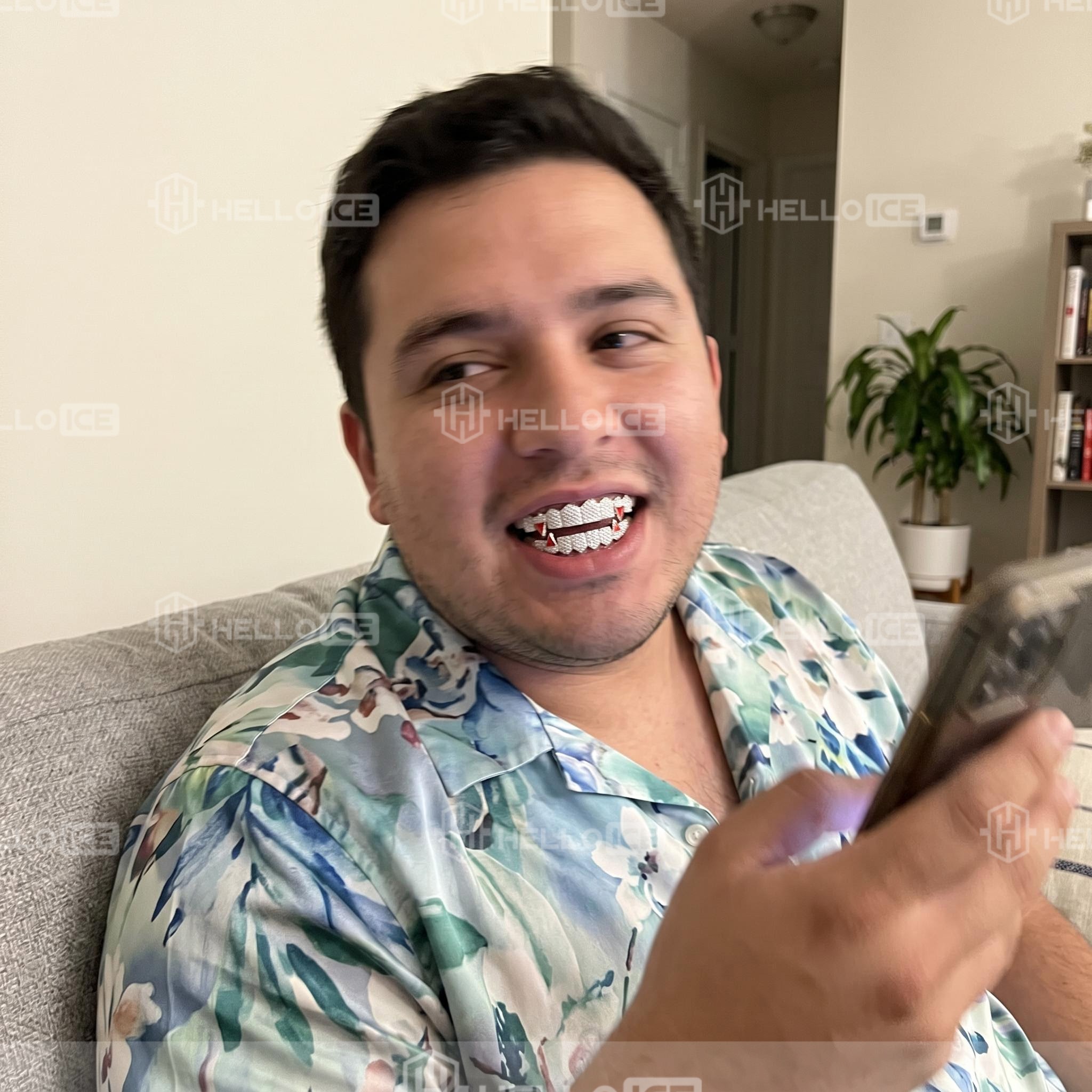 Helloice Review Image