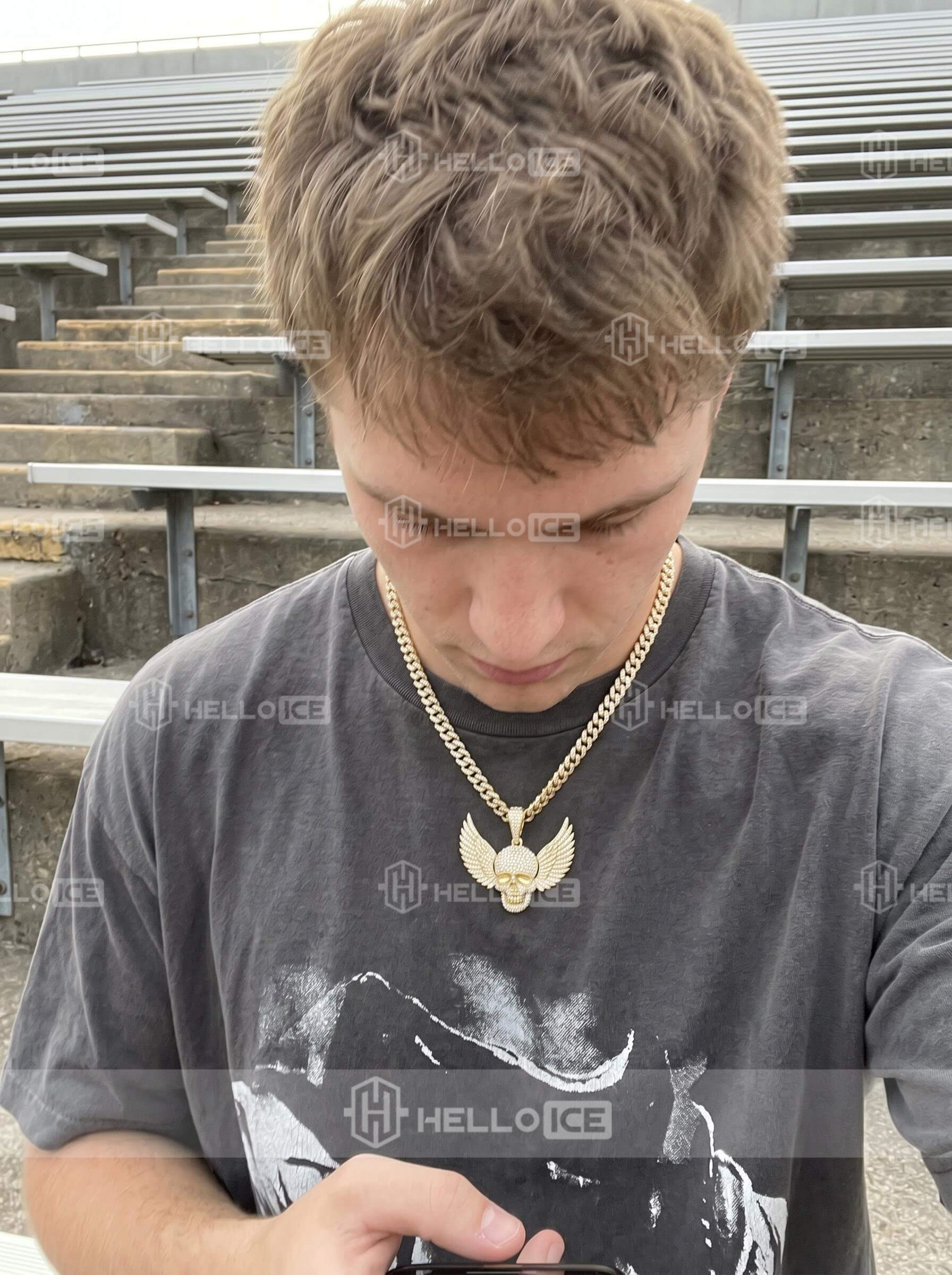 Helloice Review Image