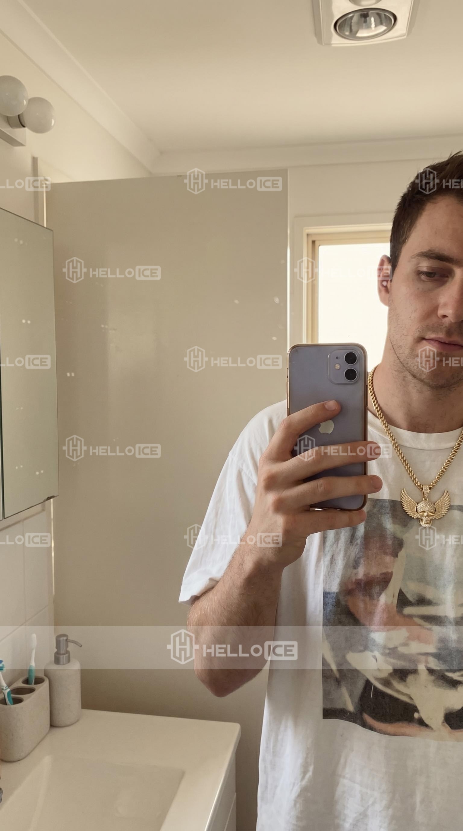 Helloice Review Image