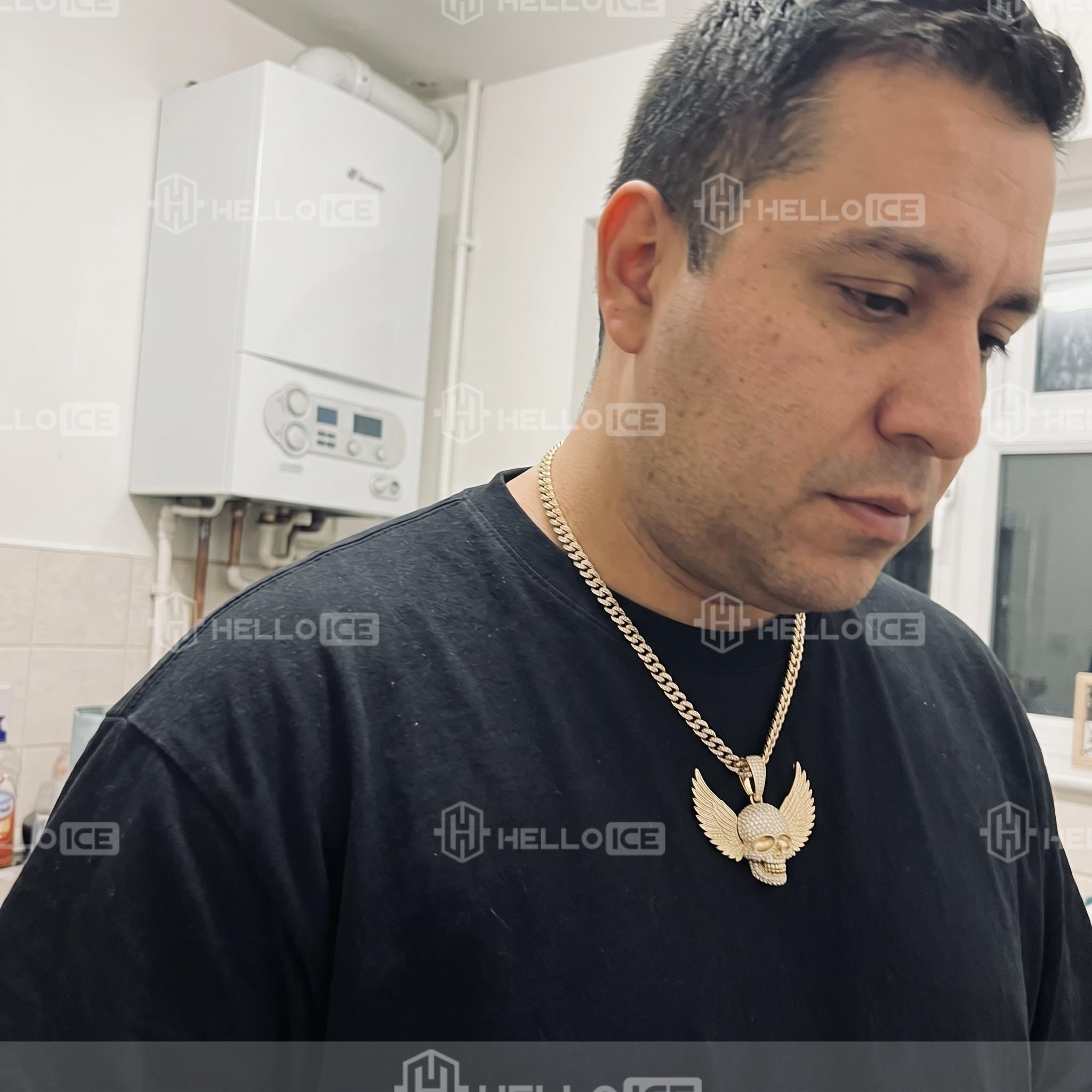 Helloice Review Image