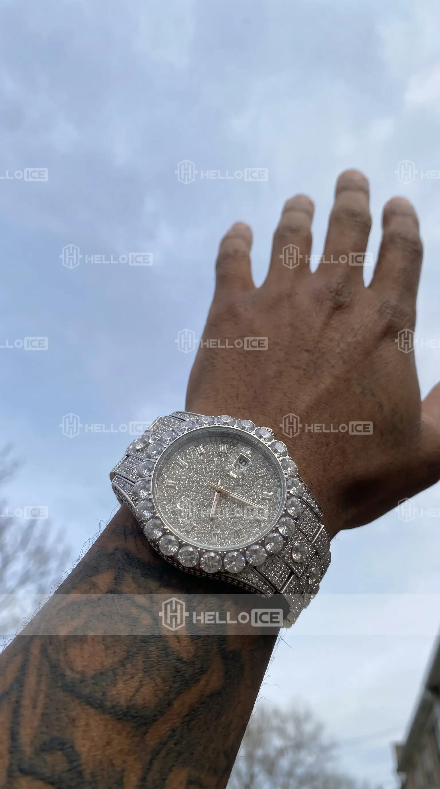 Helloice Review Image