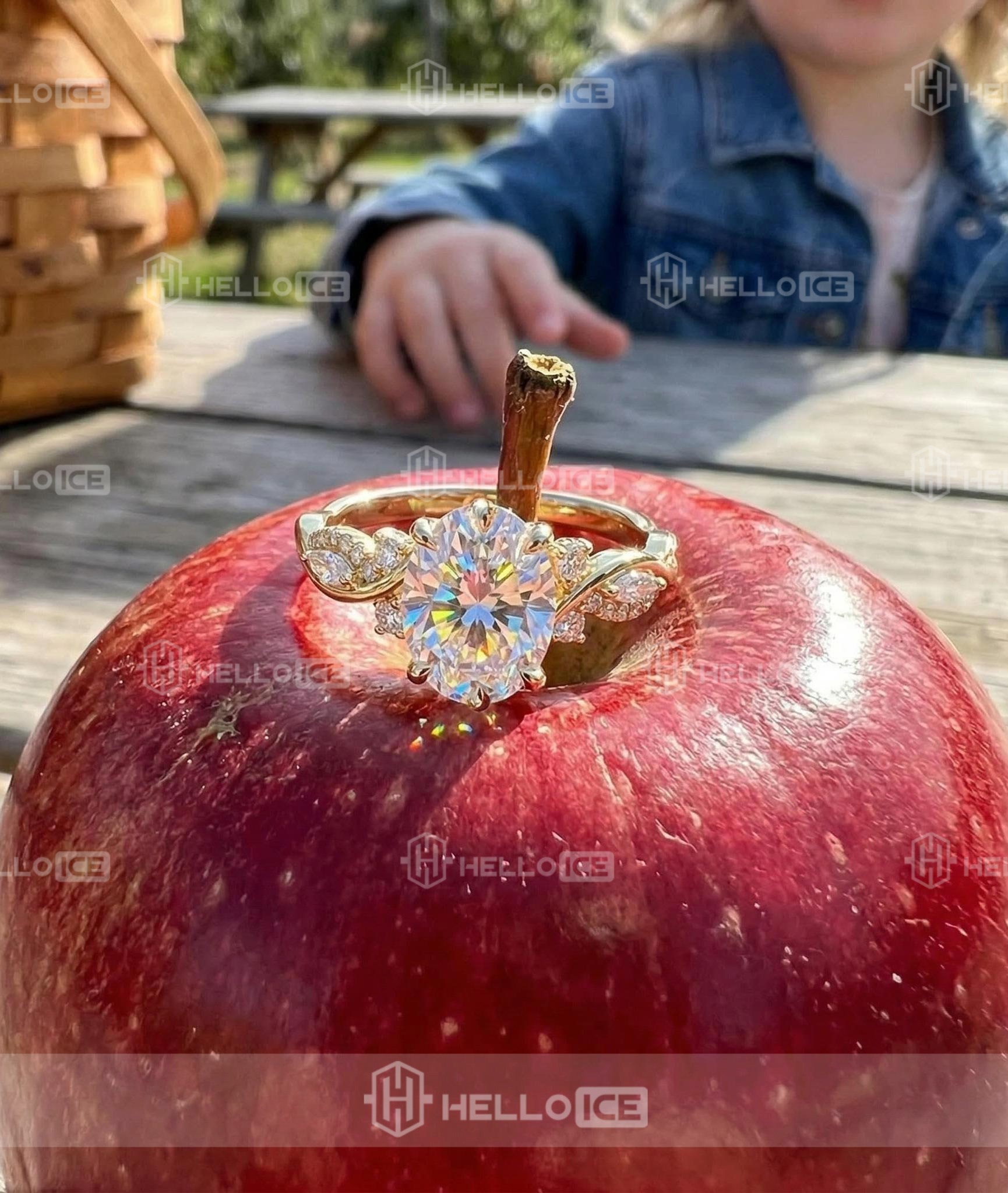 Helloice Review Image