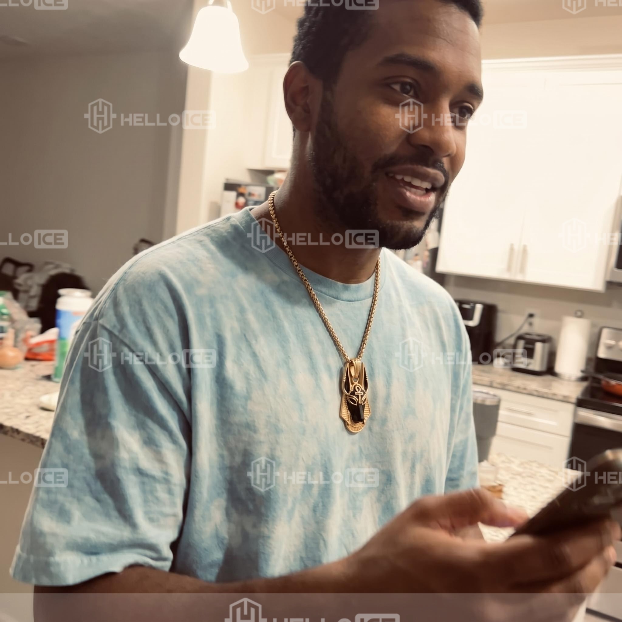 Helloice Review Image