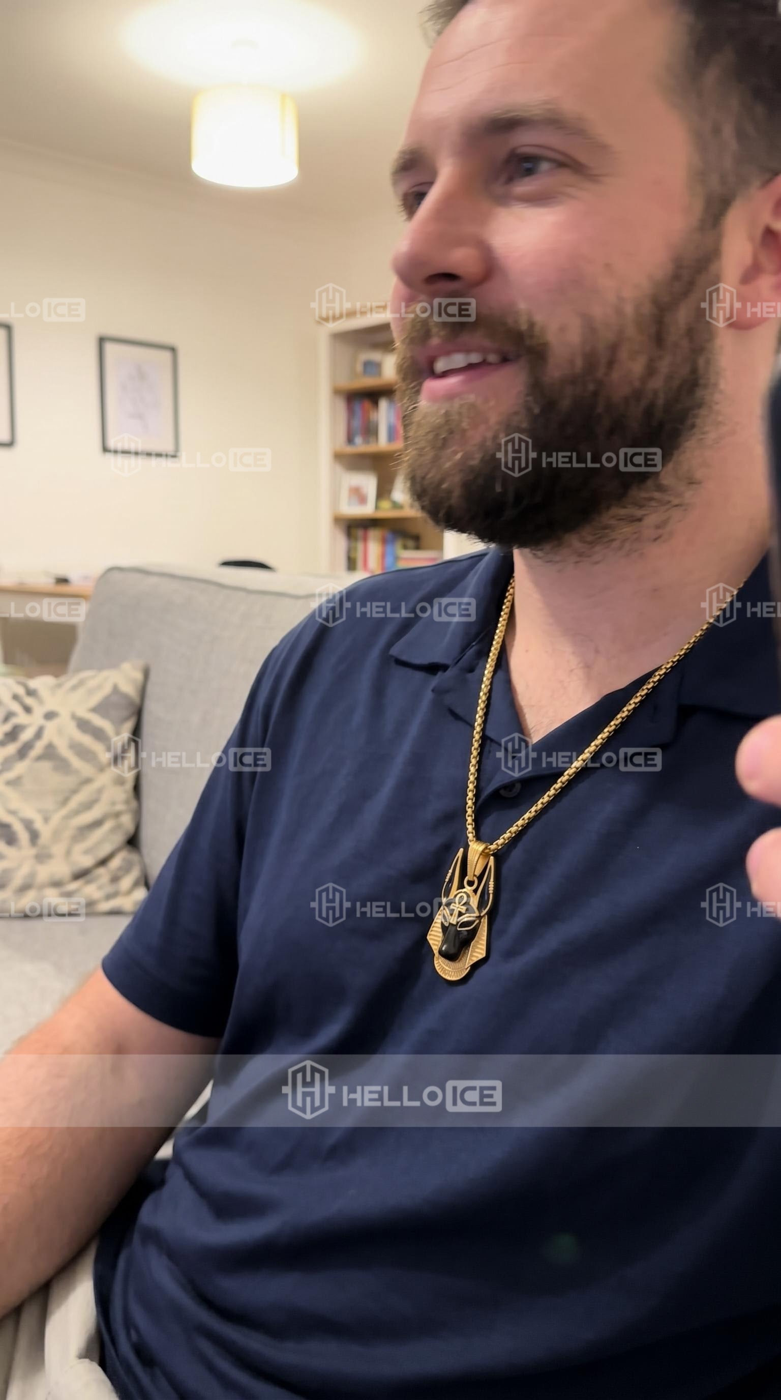 Helloice Review Image