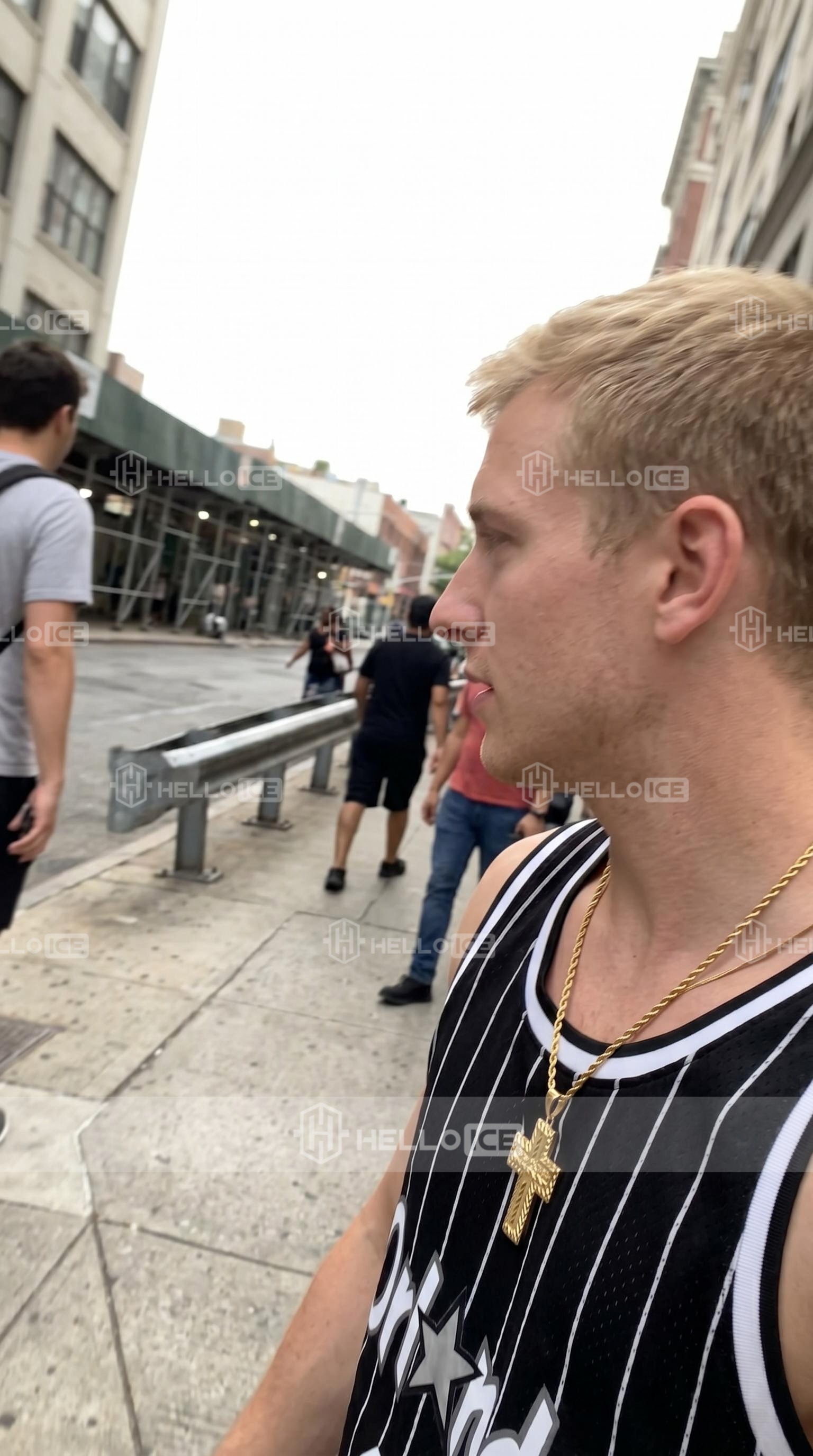 Helloice Review Image