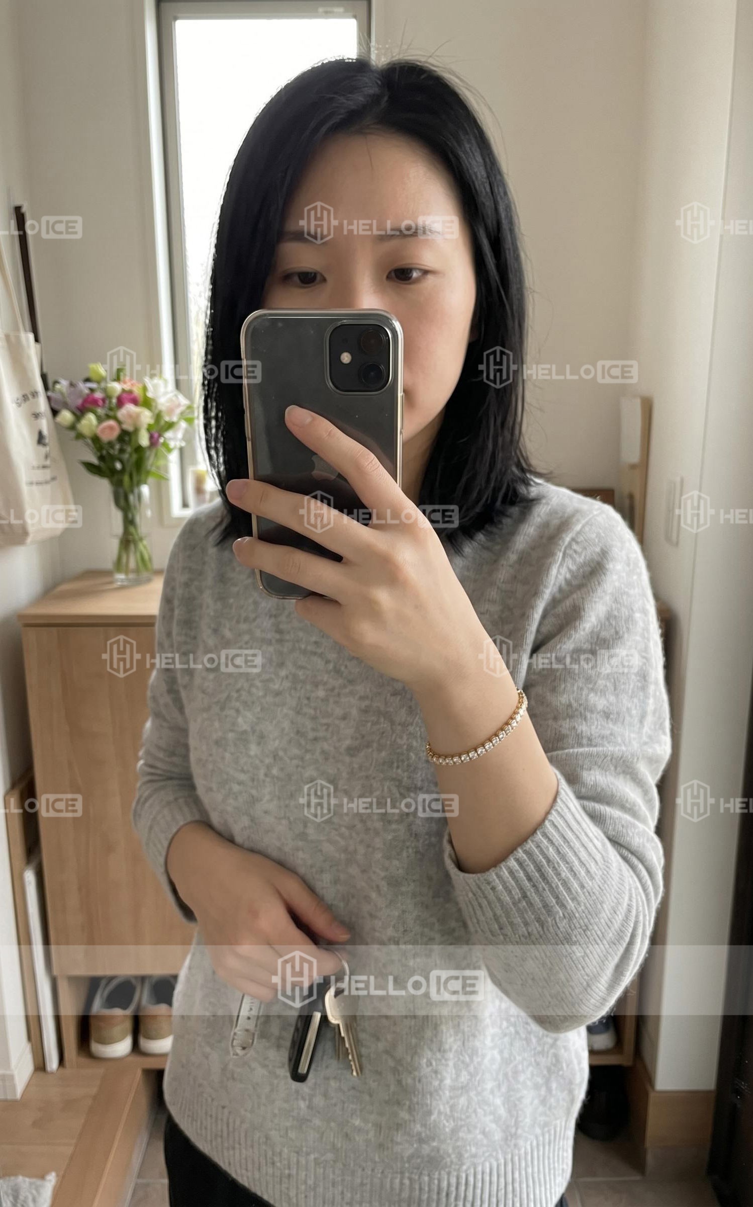 Helloice Review Image