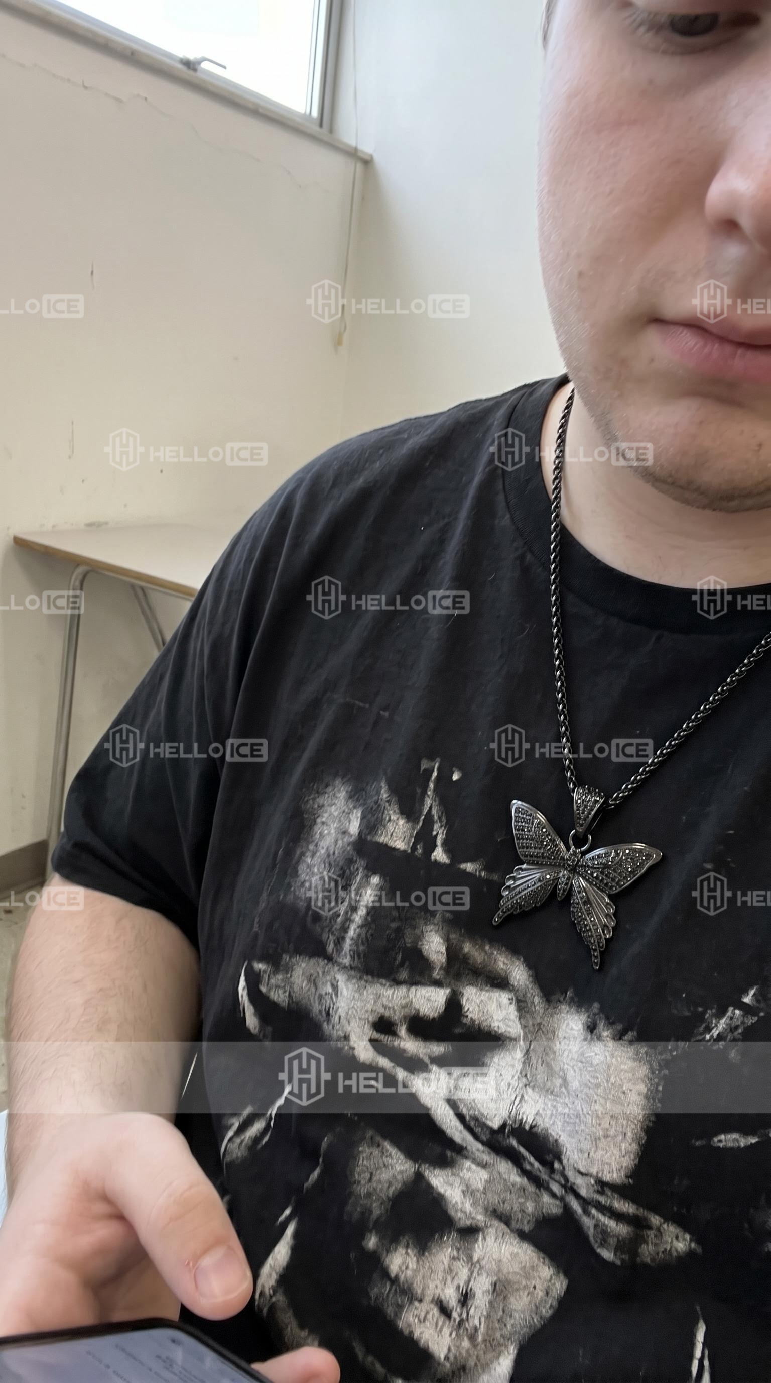 Helloice Review Image