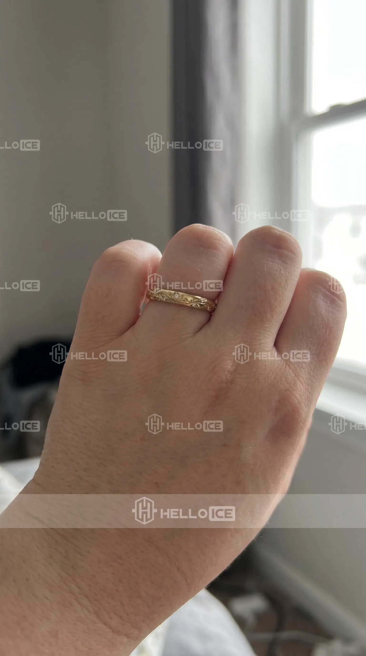 Helloice Review Image