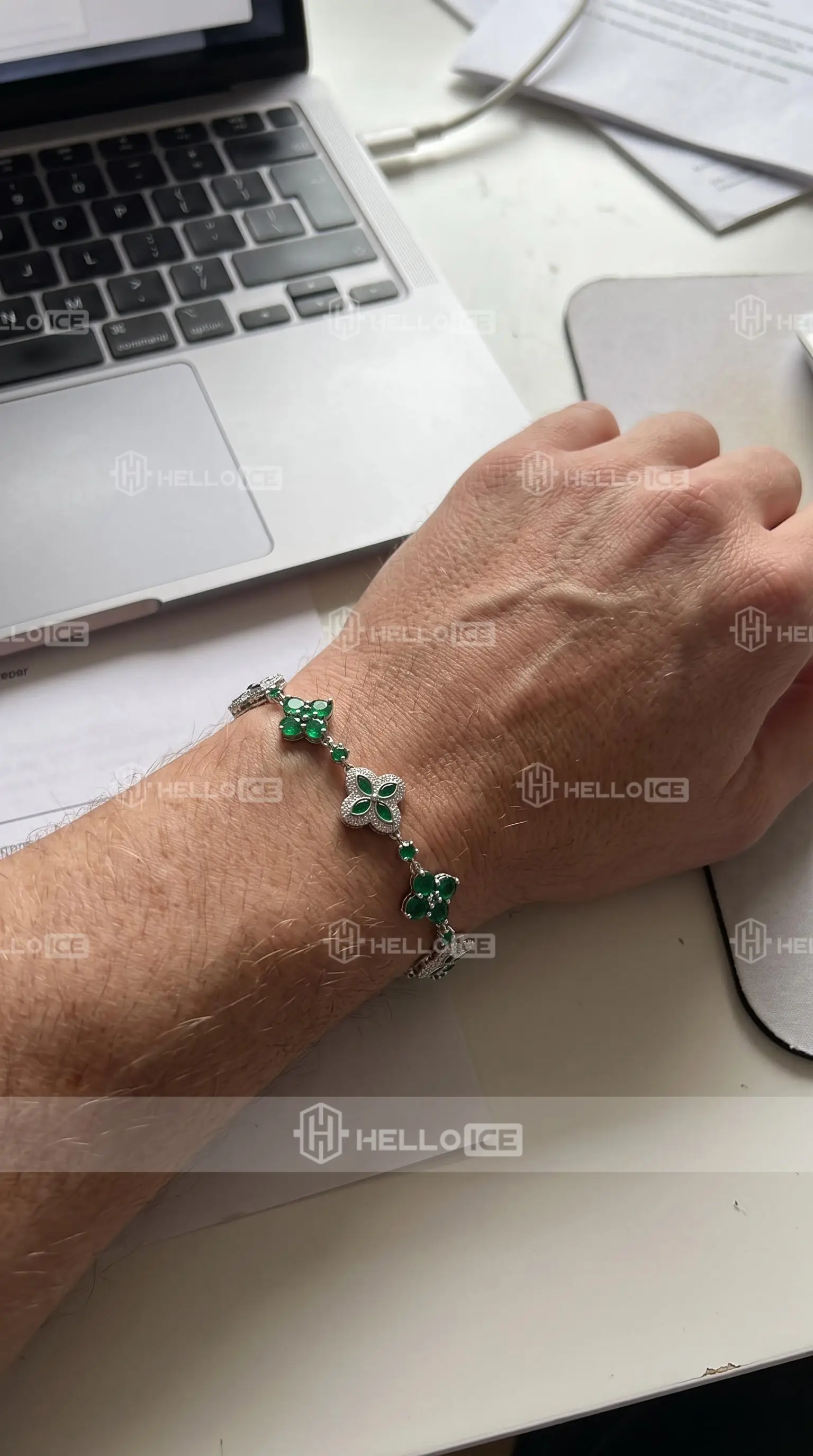 Helloice Review Image