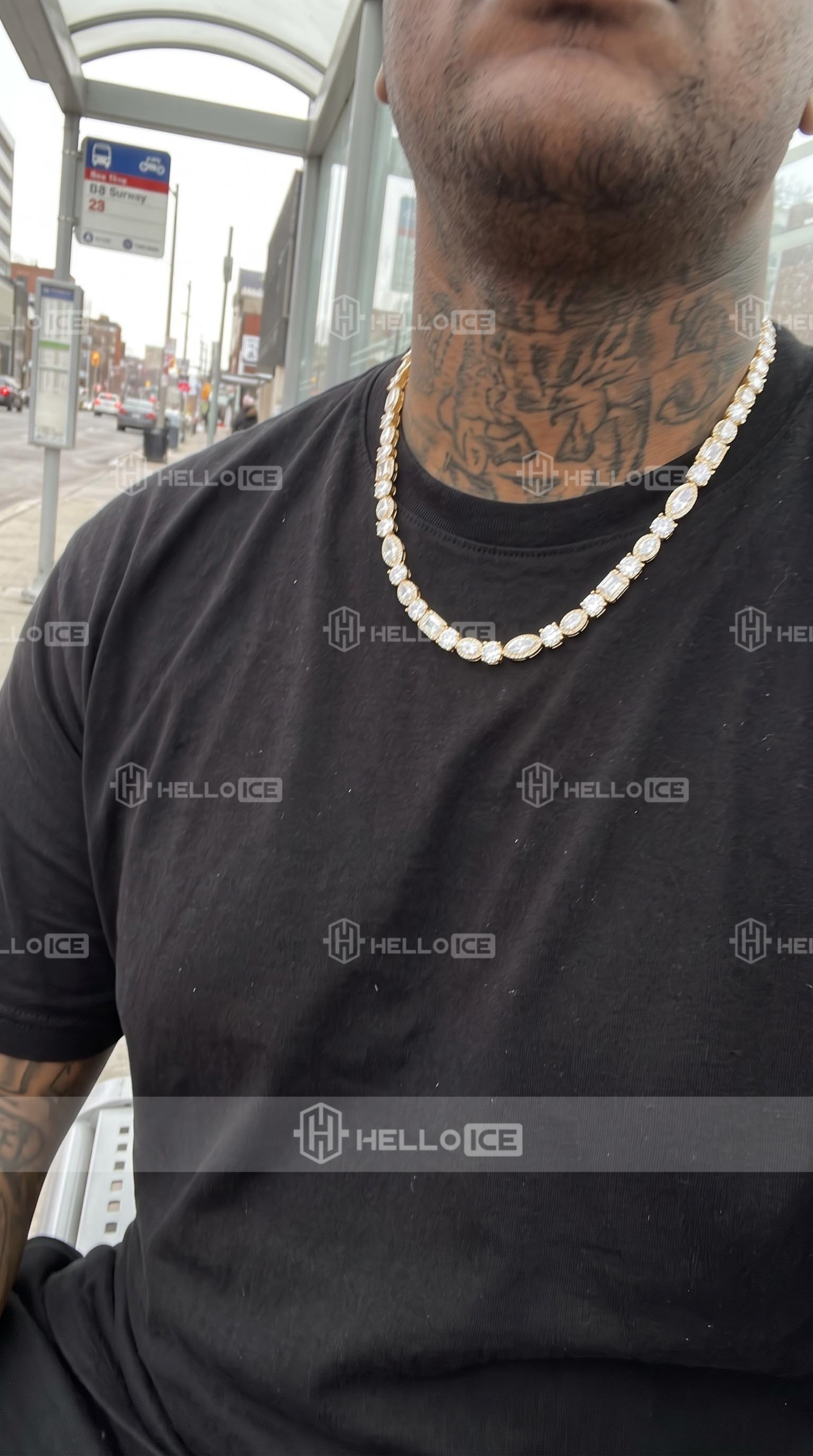 Helloice Review Image
