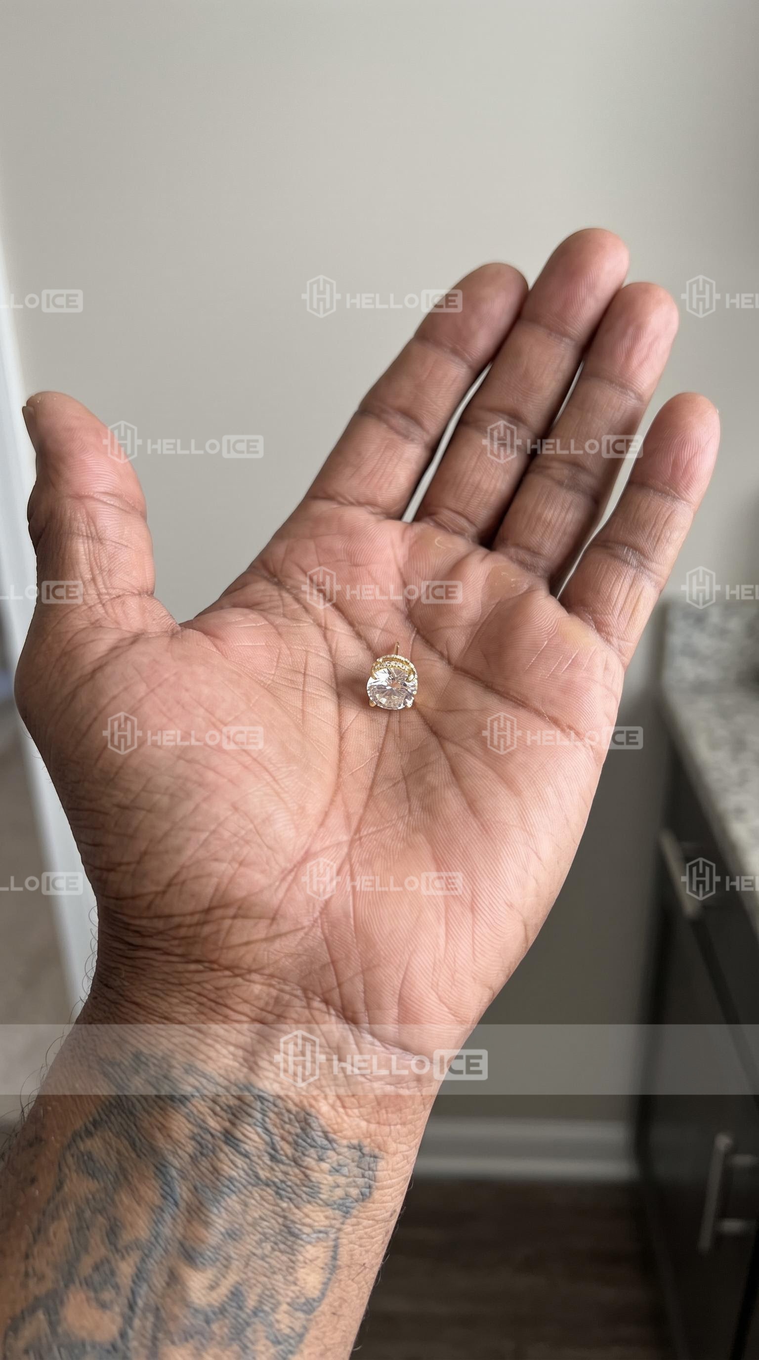 Helloice Review Image