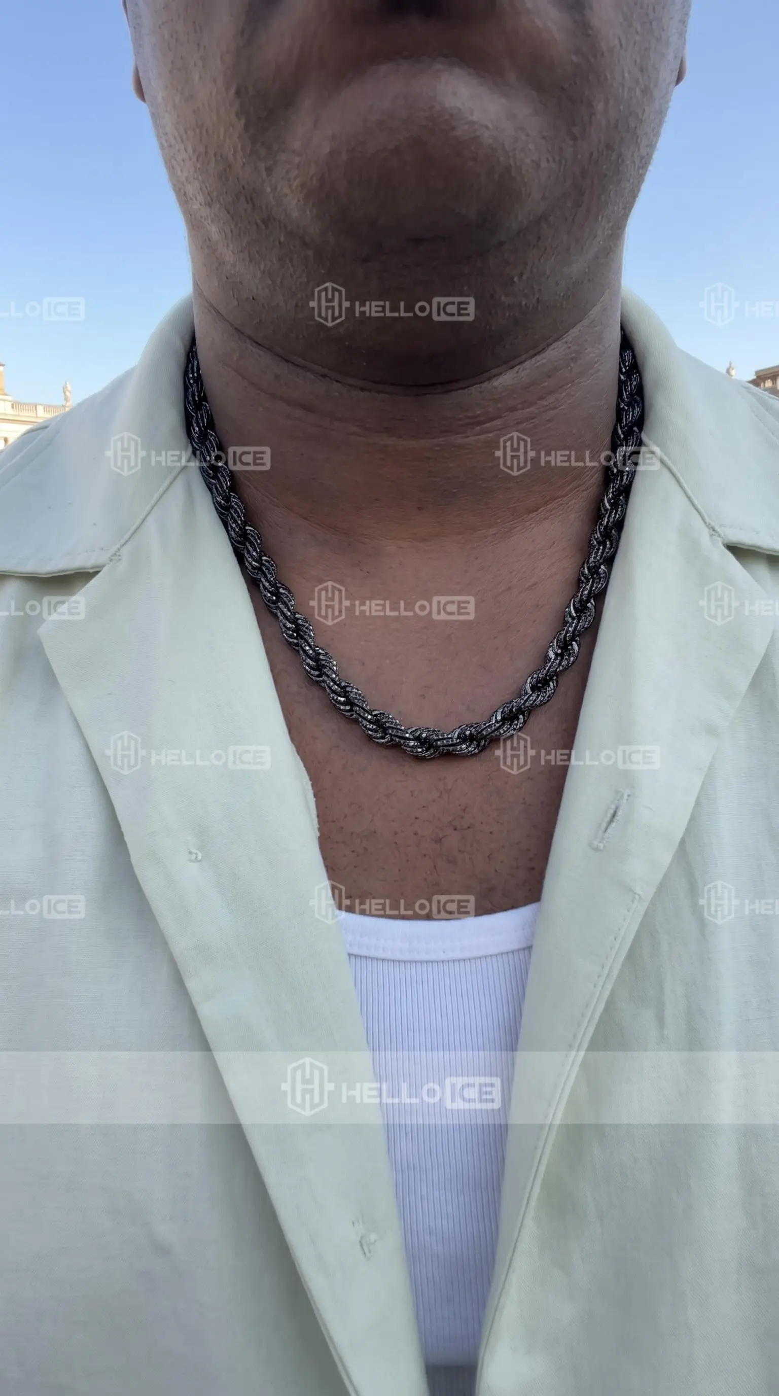 Helloice Review Image
