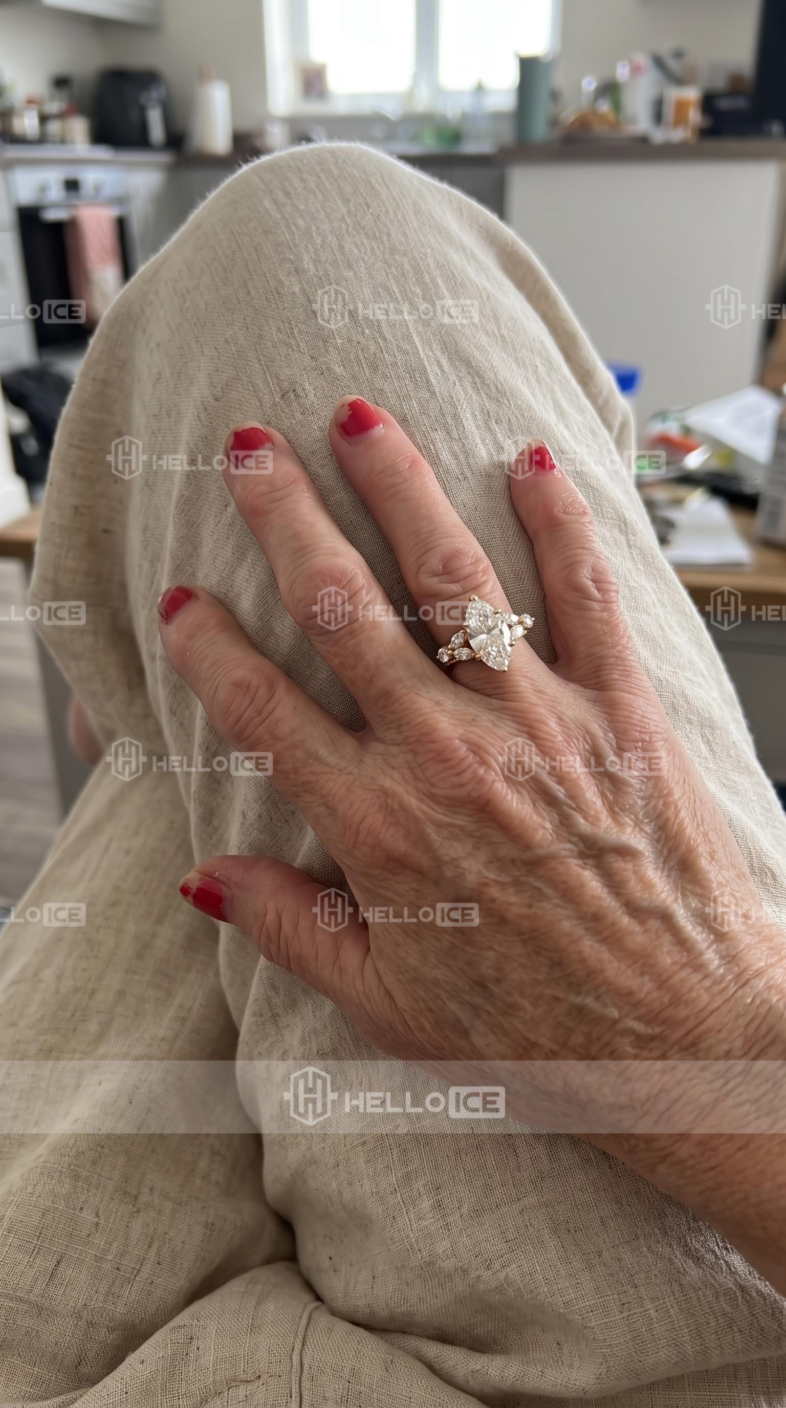 Helloice Review Image