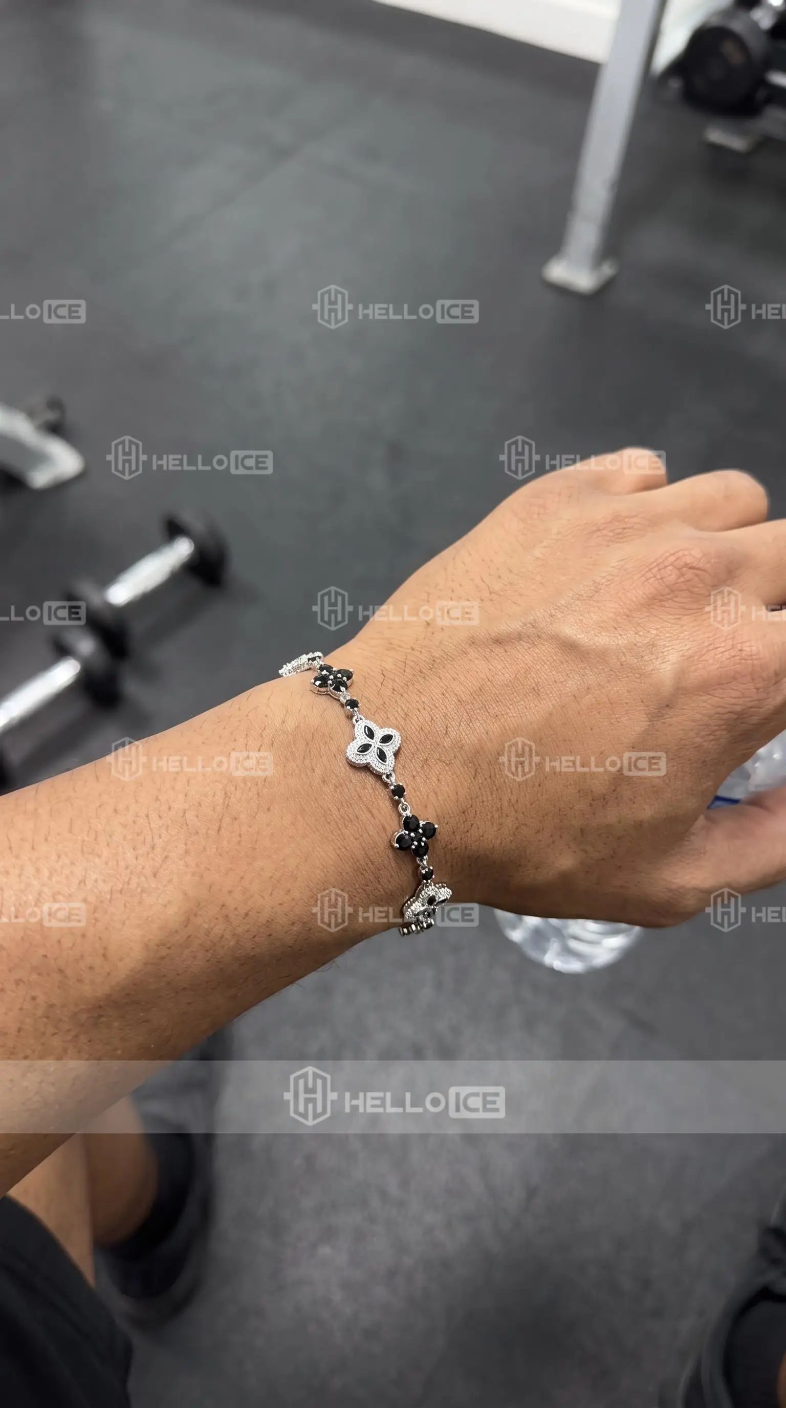 Helloice Review Image