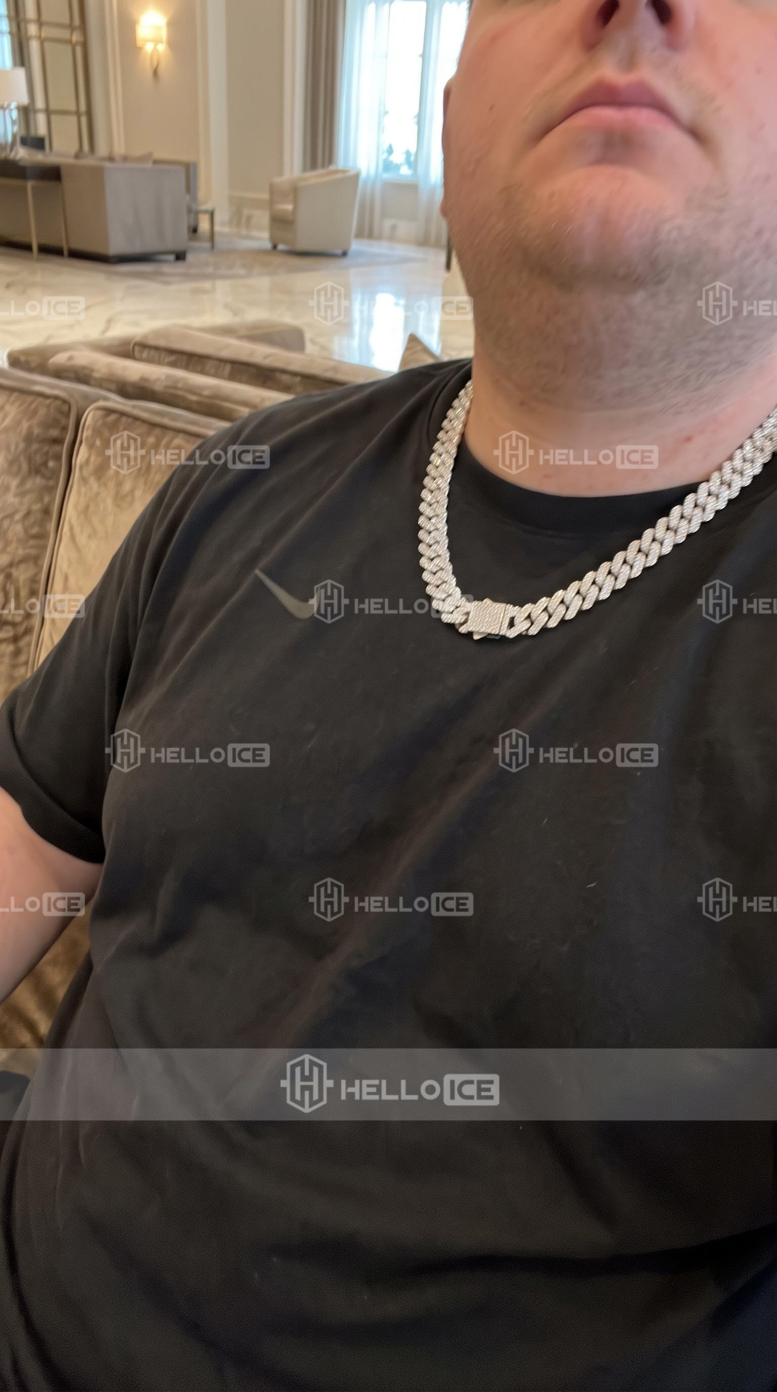 Helloice Review Image
