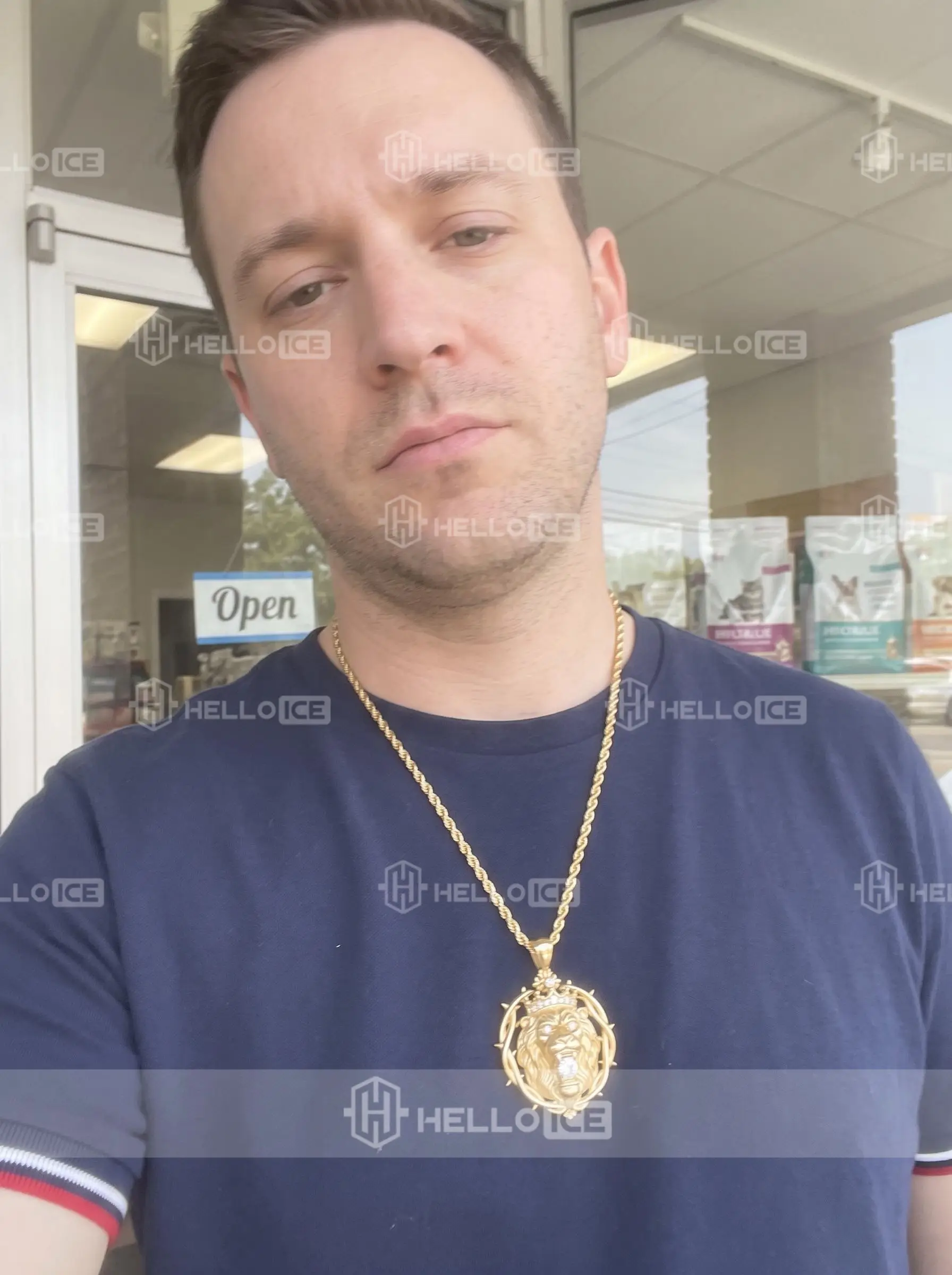 Helloice Review Image