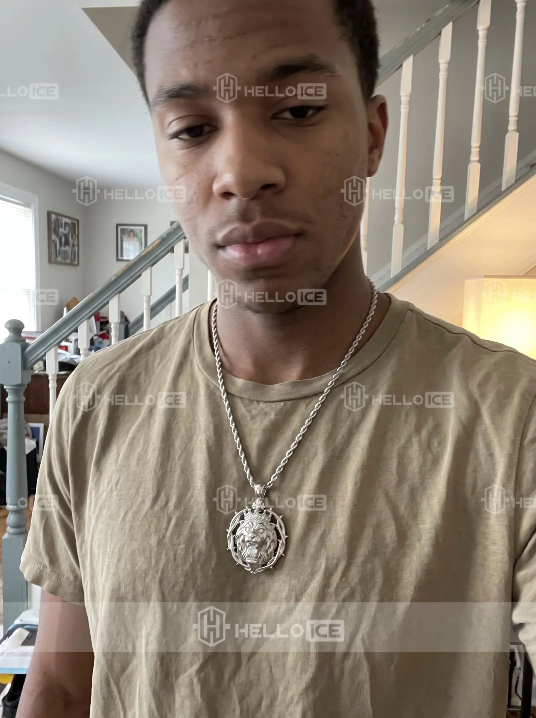 Helloice Review Image