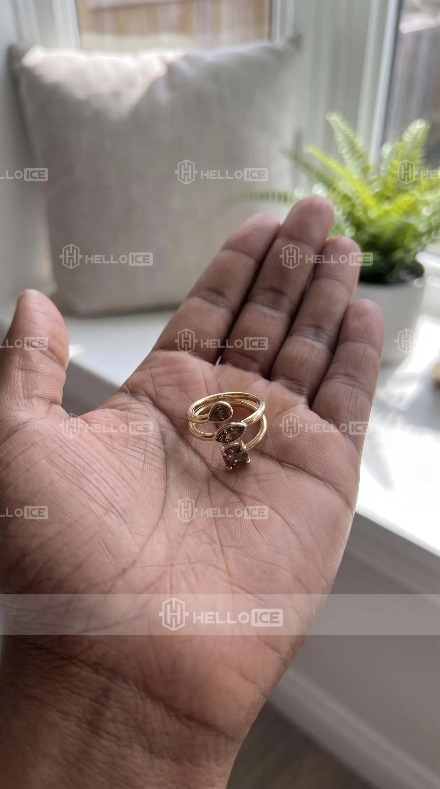 Helloice Review Image