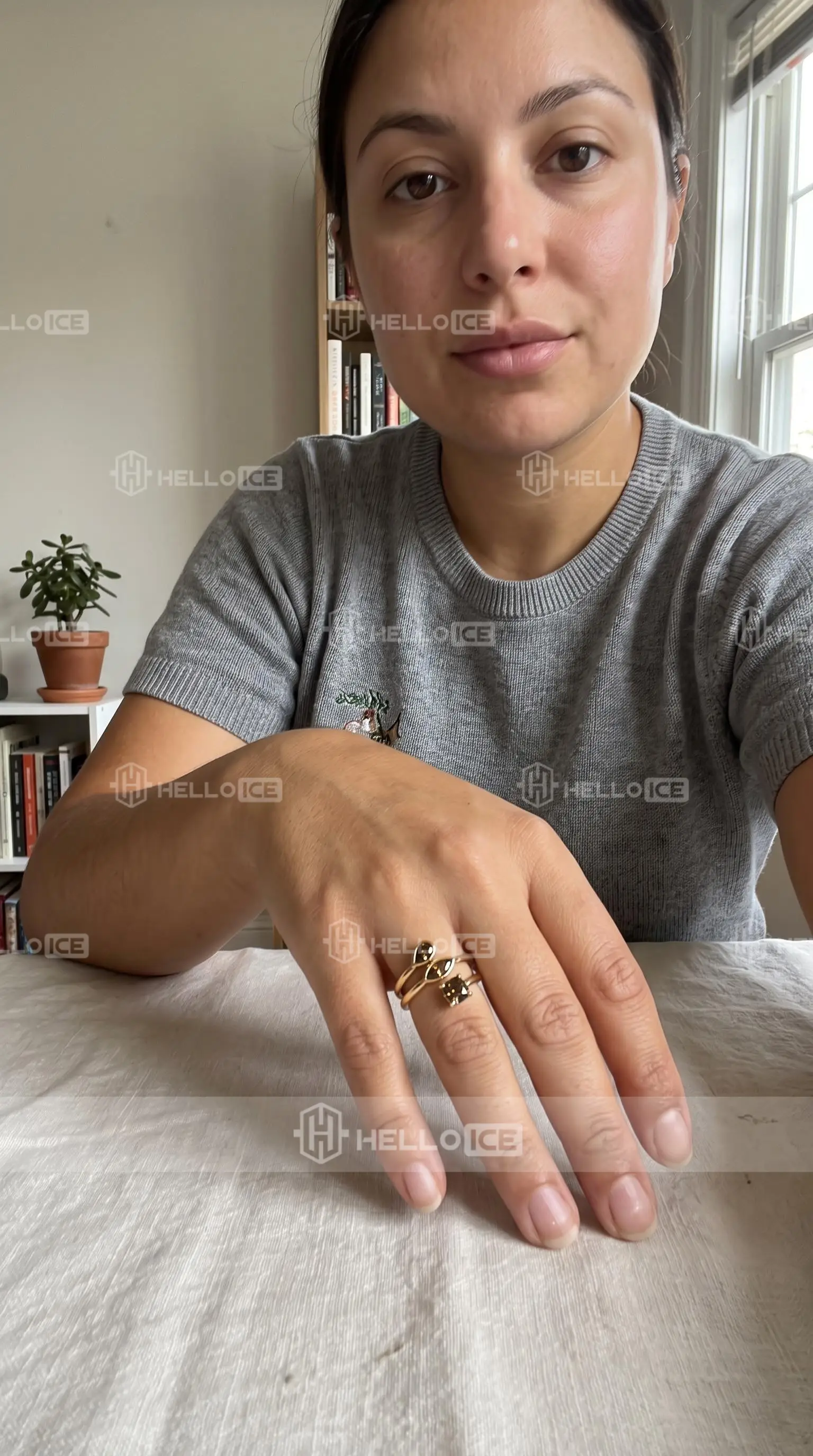 Helloice Review Image