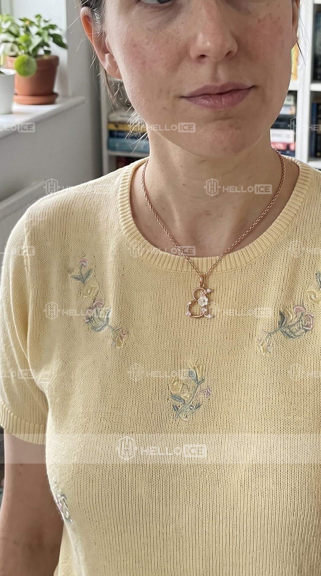 Helloice Review Image