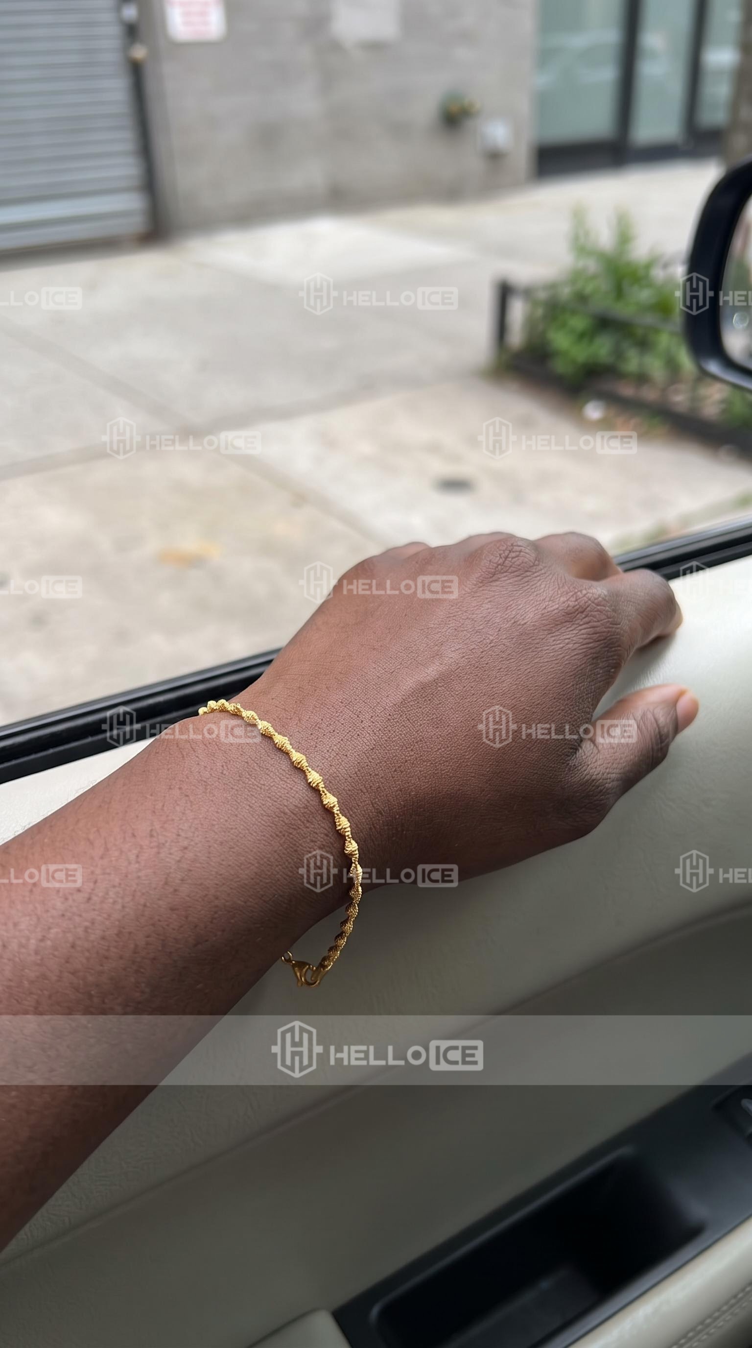 Helloice Review Image