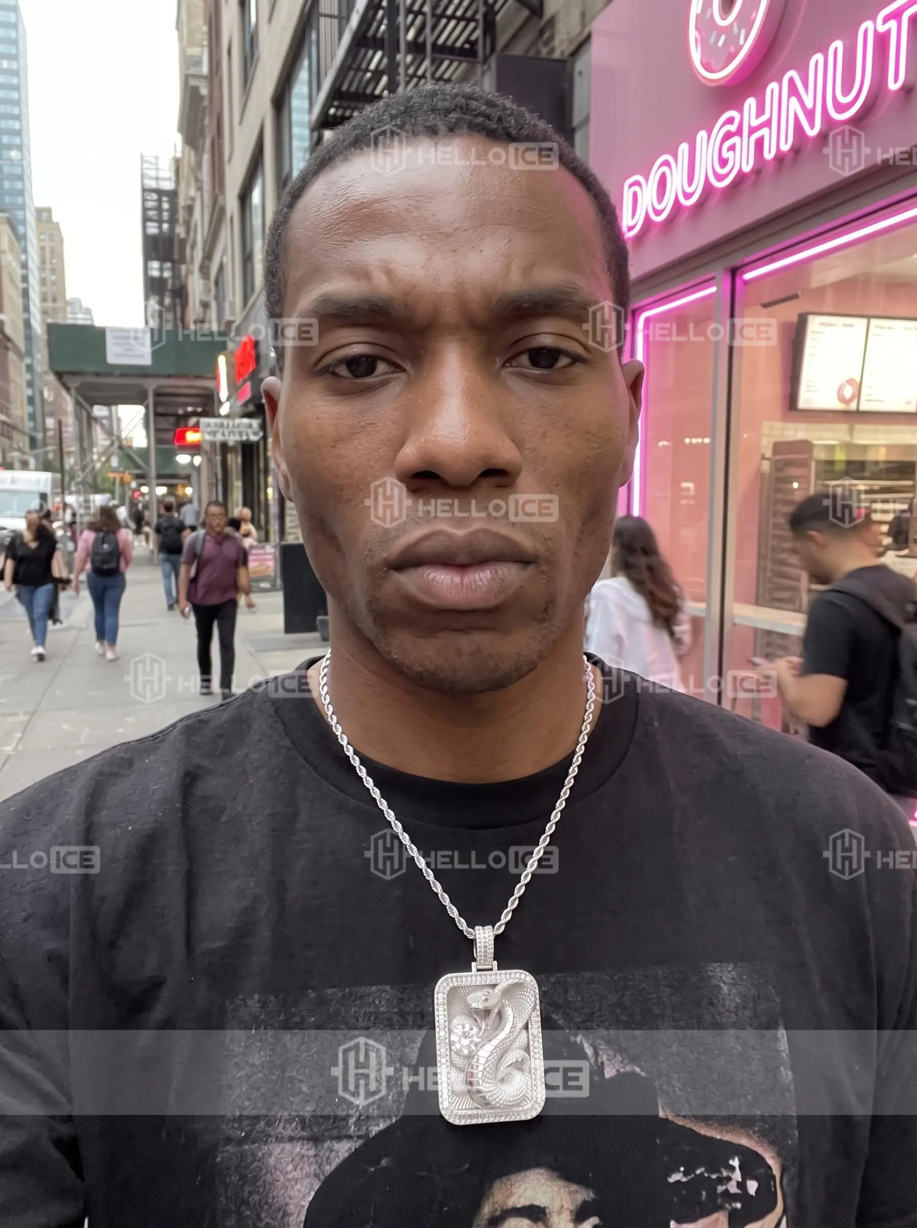 Helloice Review Image