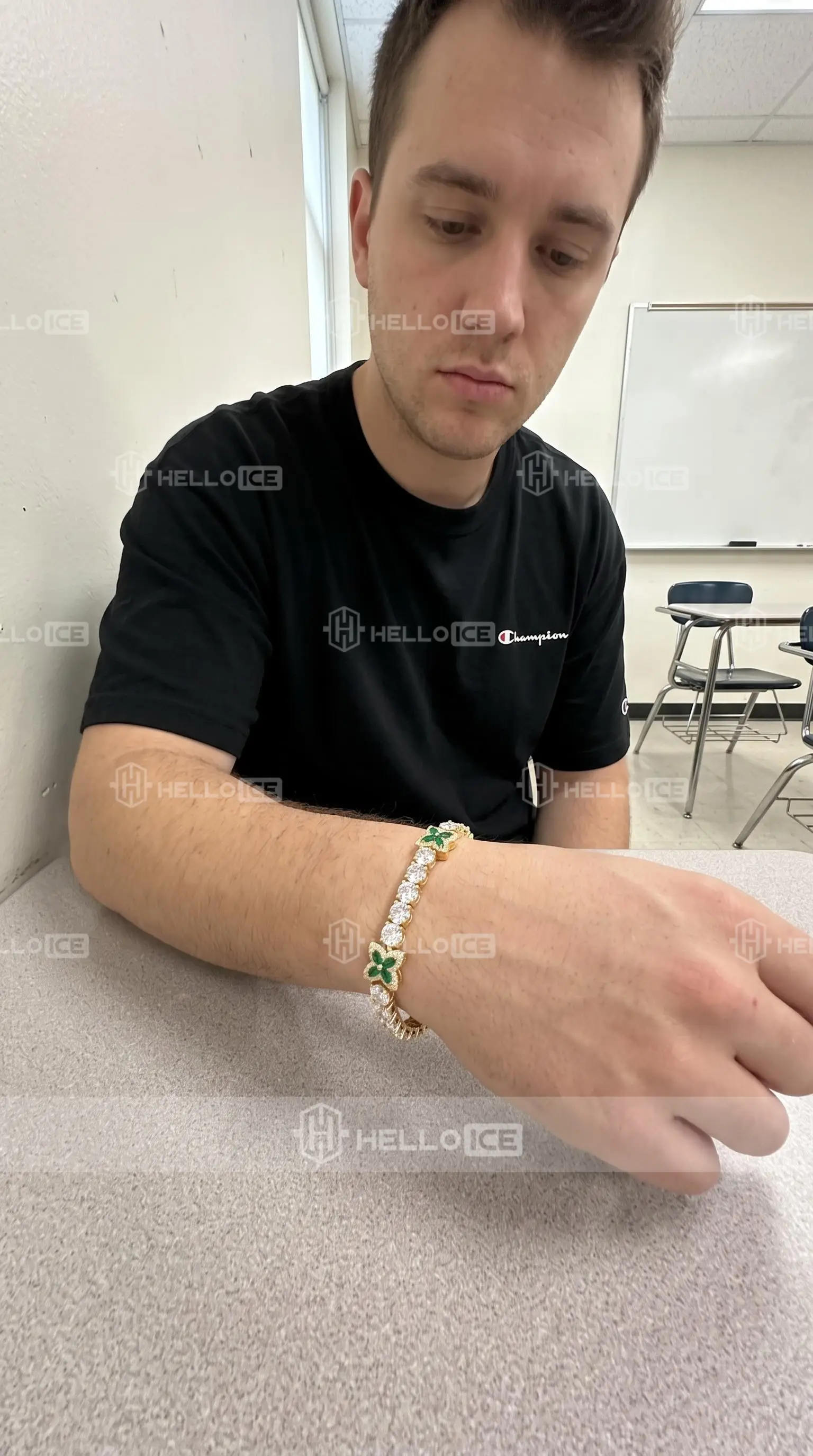 Helloice Review Image