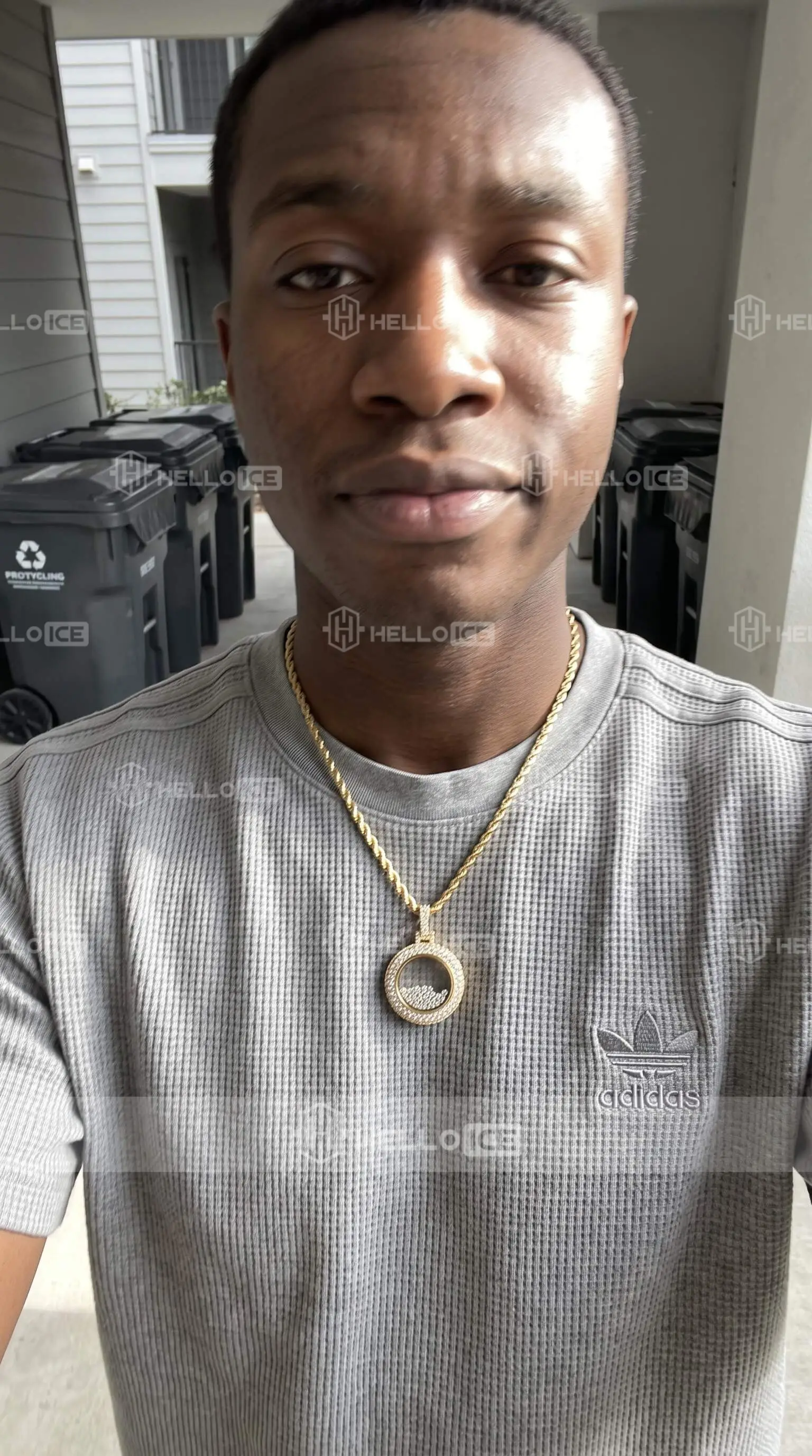 Helloice Review Image