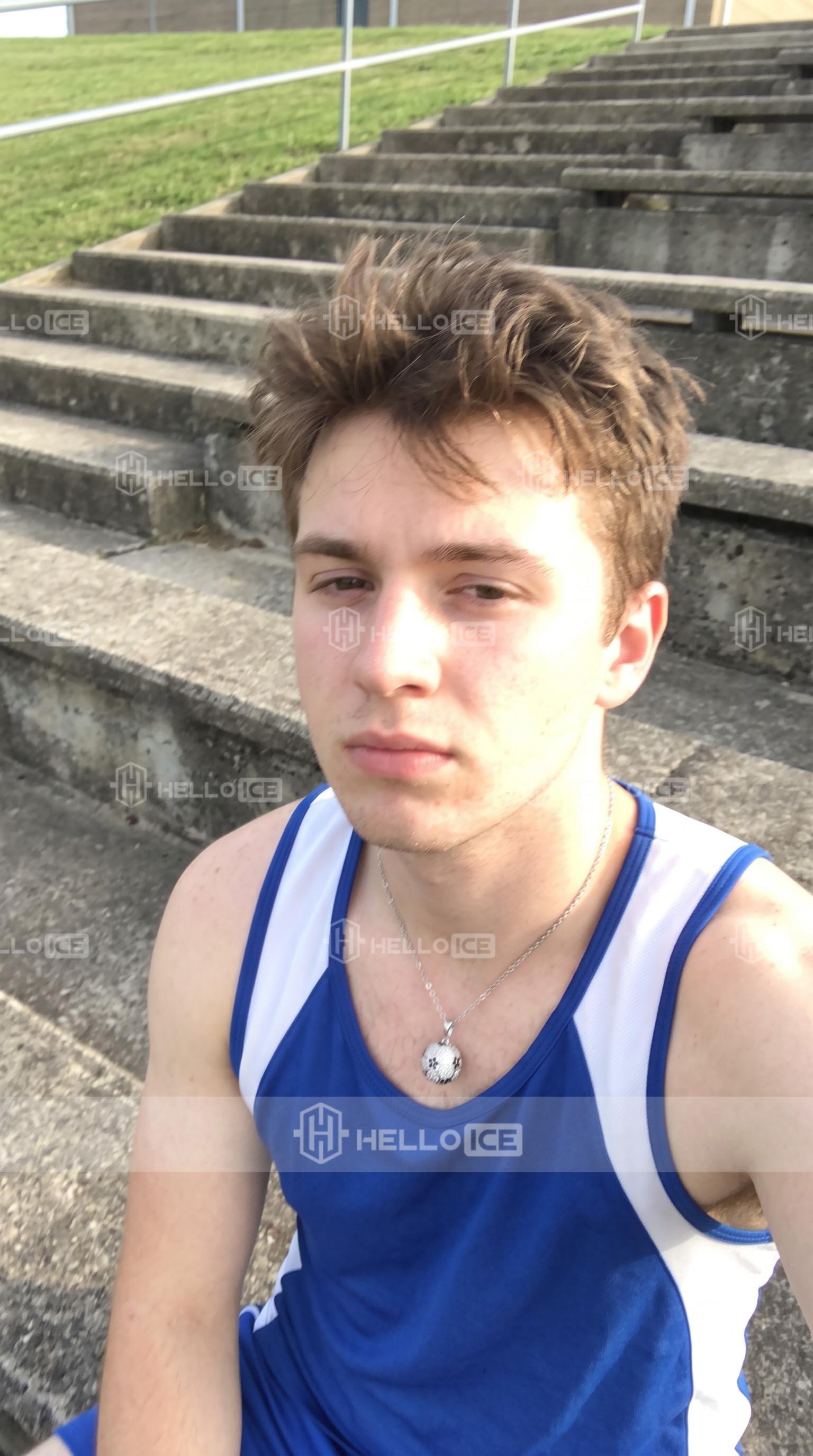 Helloice Review Image