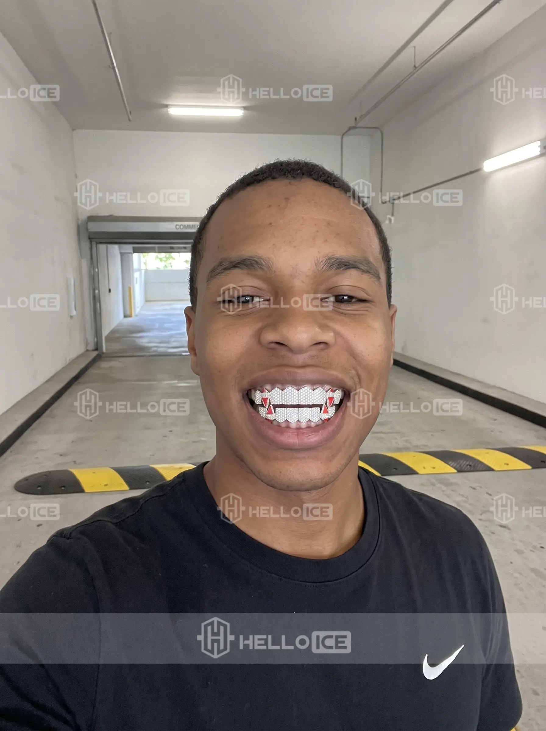 Helloice Review Image