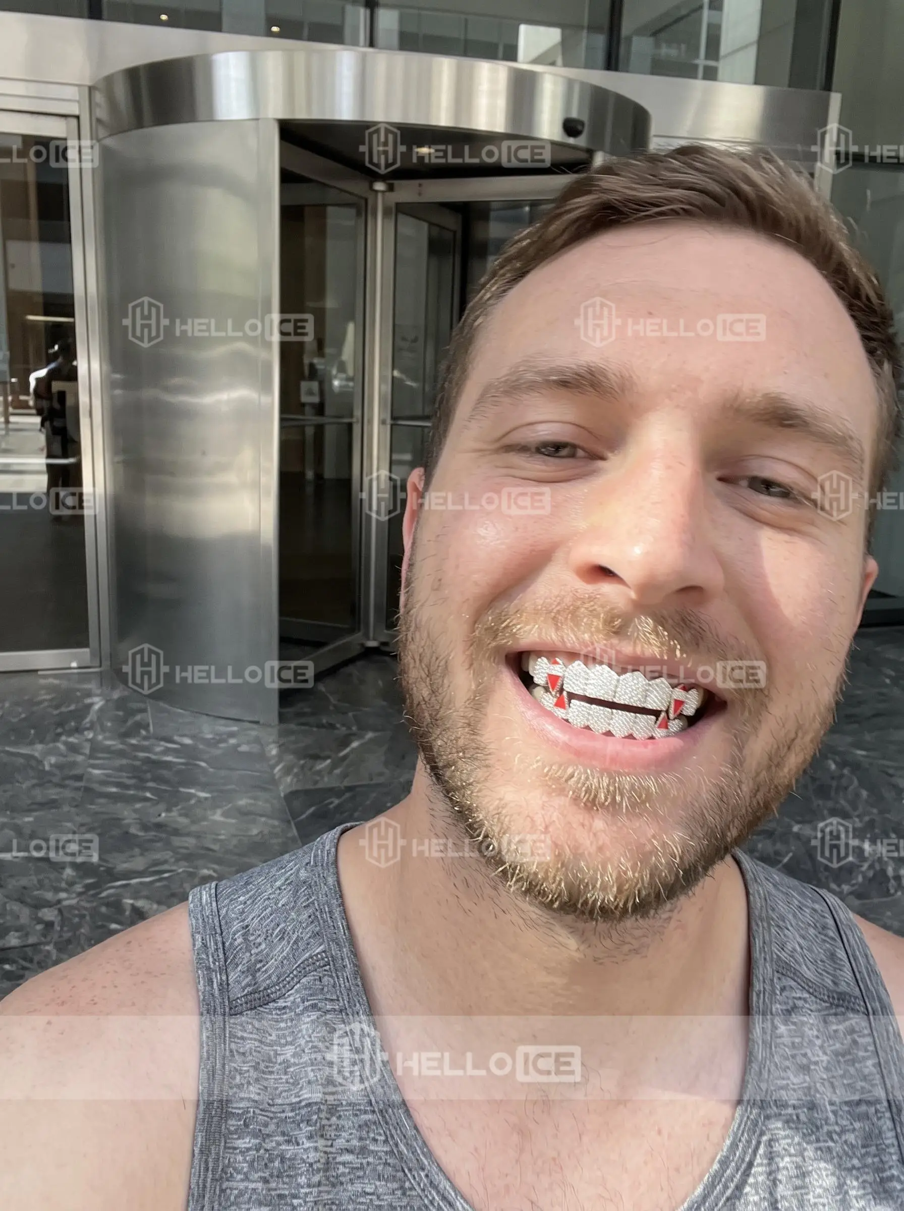 Helloice Review Image