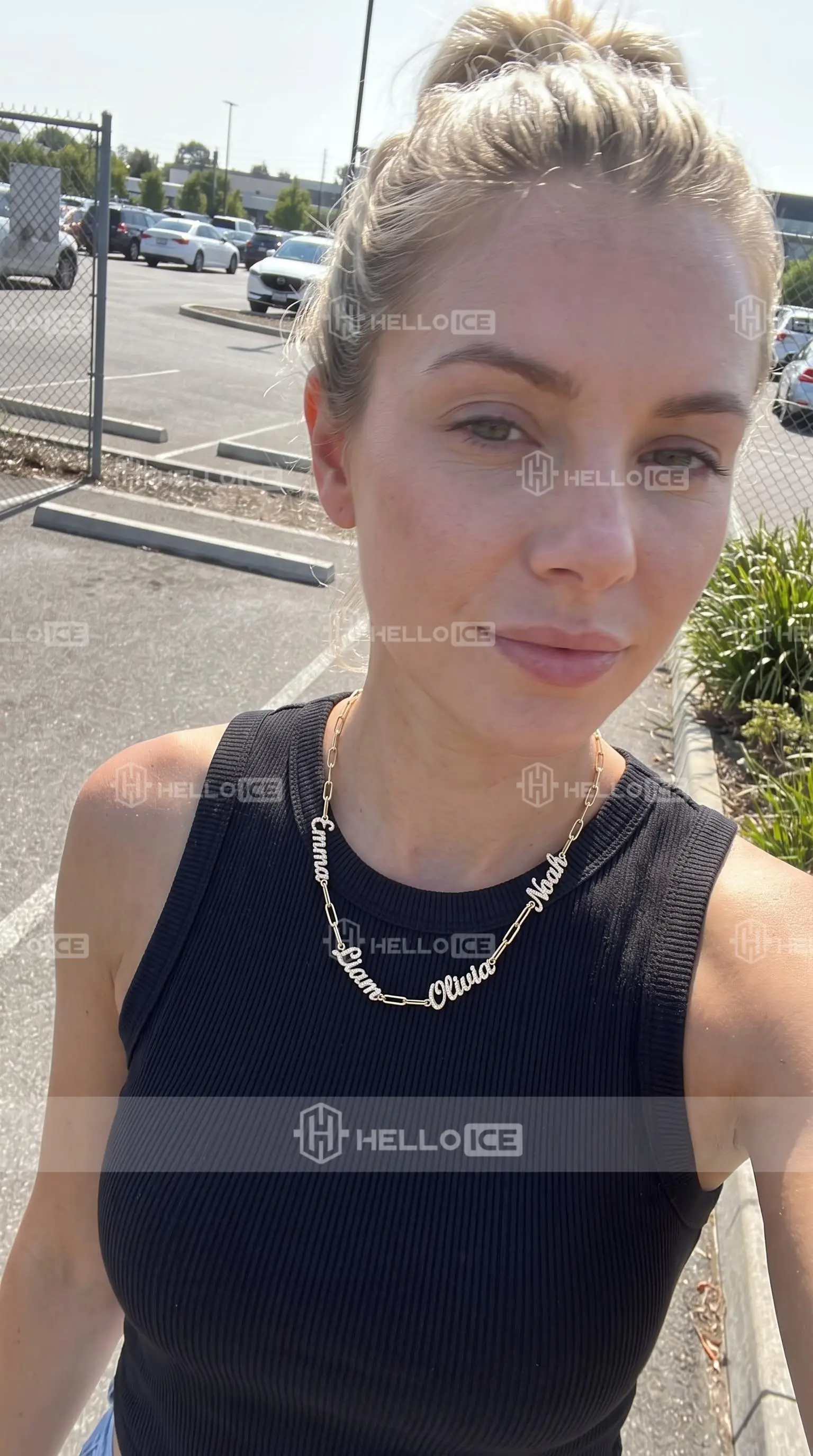 Helloice Review Image