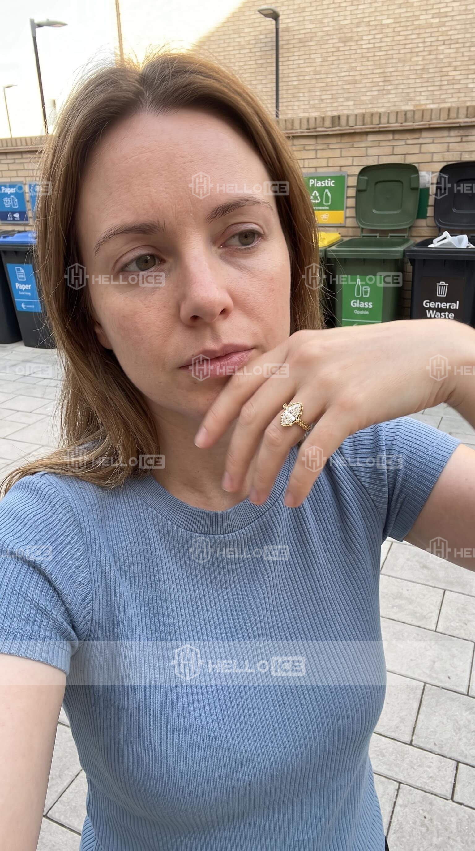 Helloice Review Image