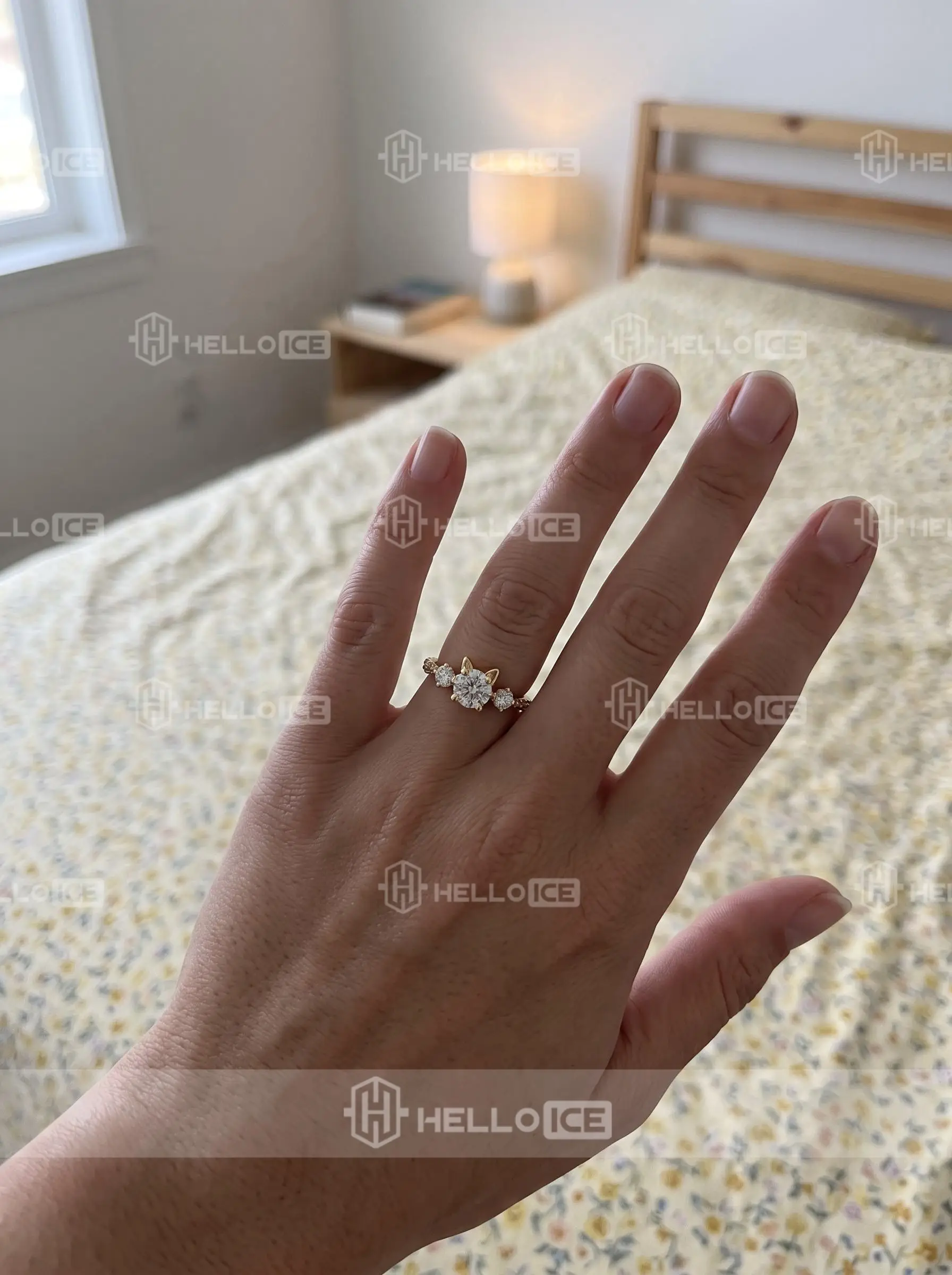 Helloice Review Image