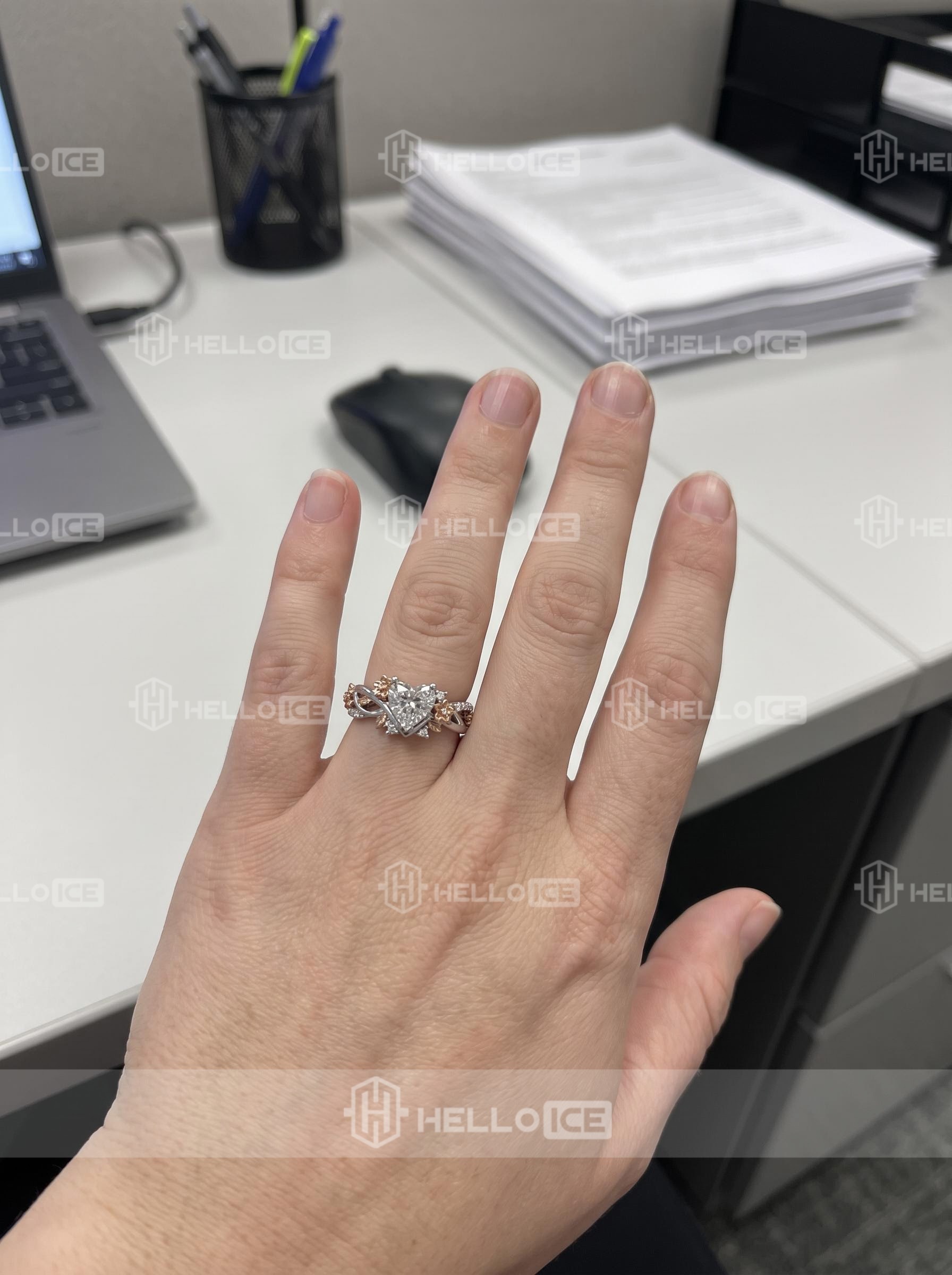 Helloice Review Image