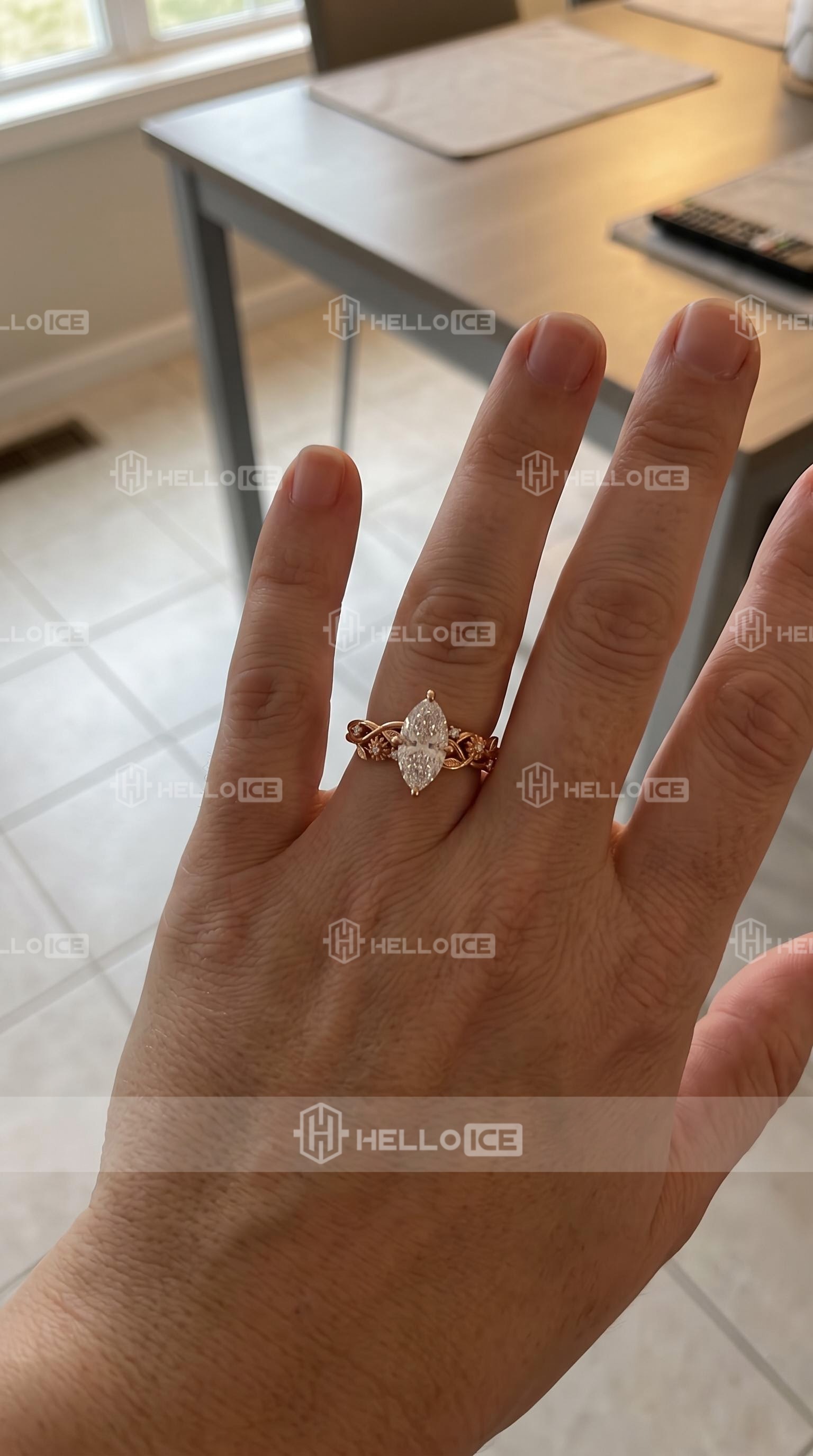 Helloice Review Image