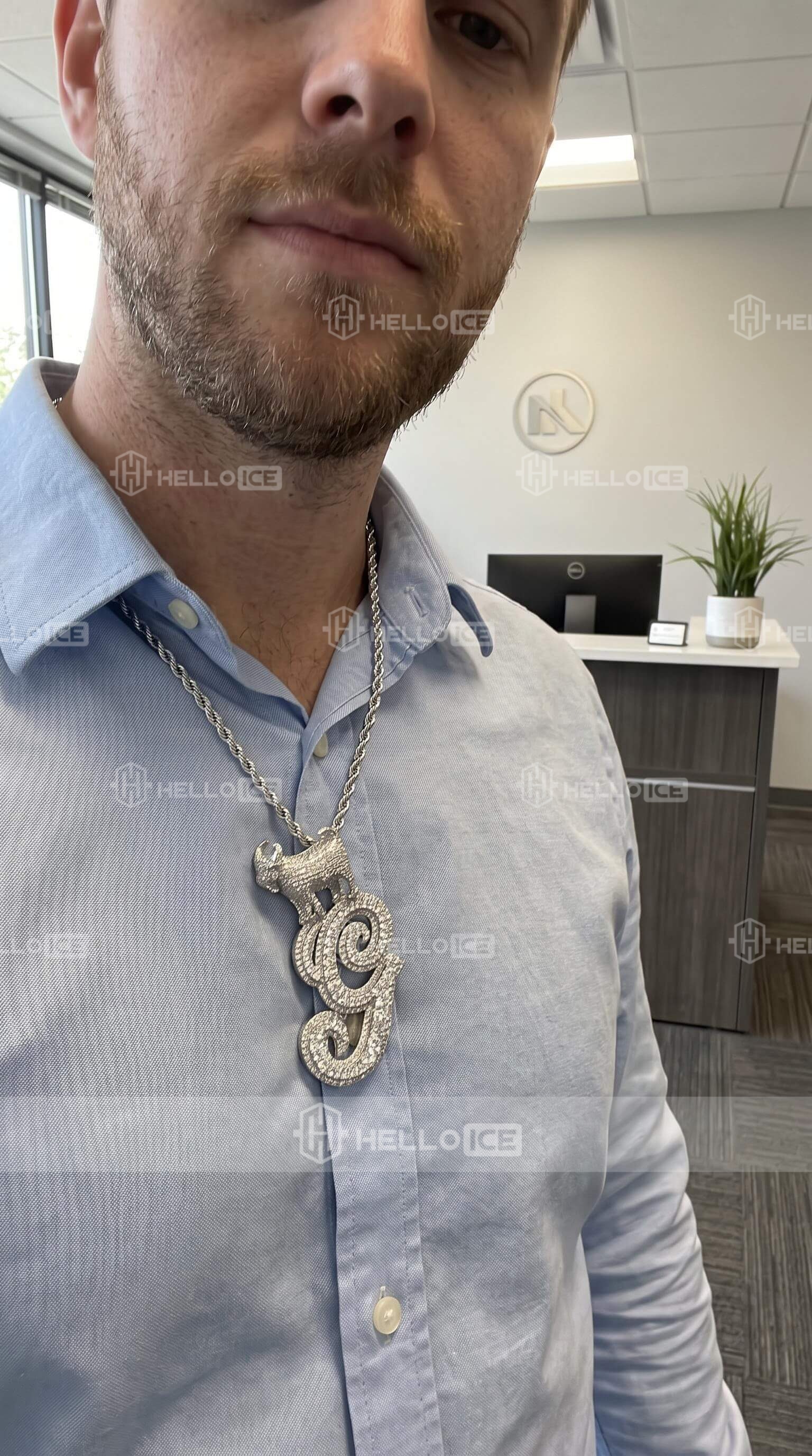Helloice Review Image