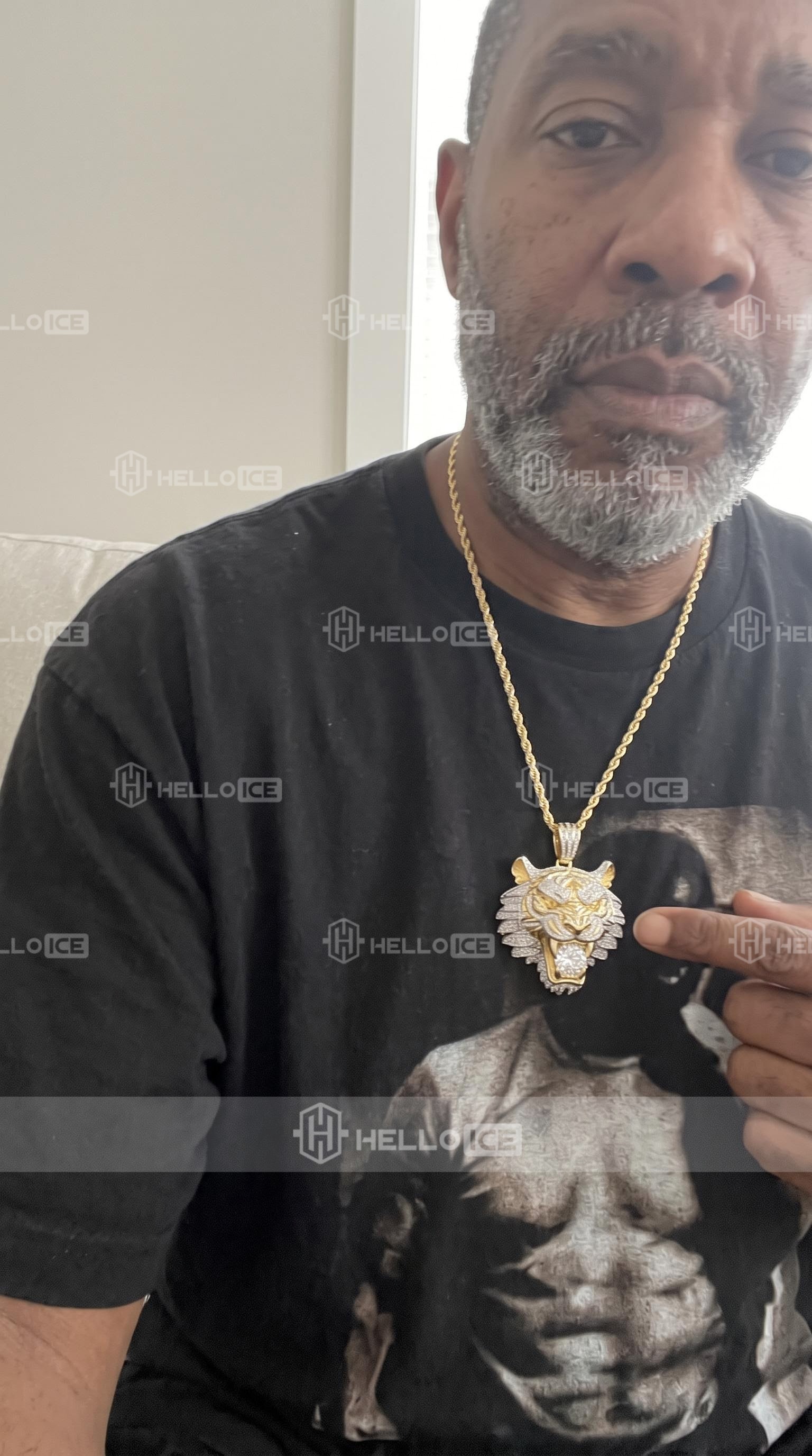 Helloice Review Image