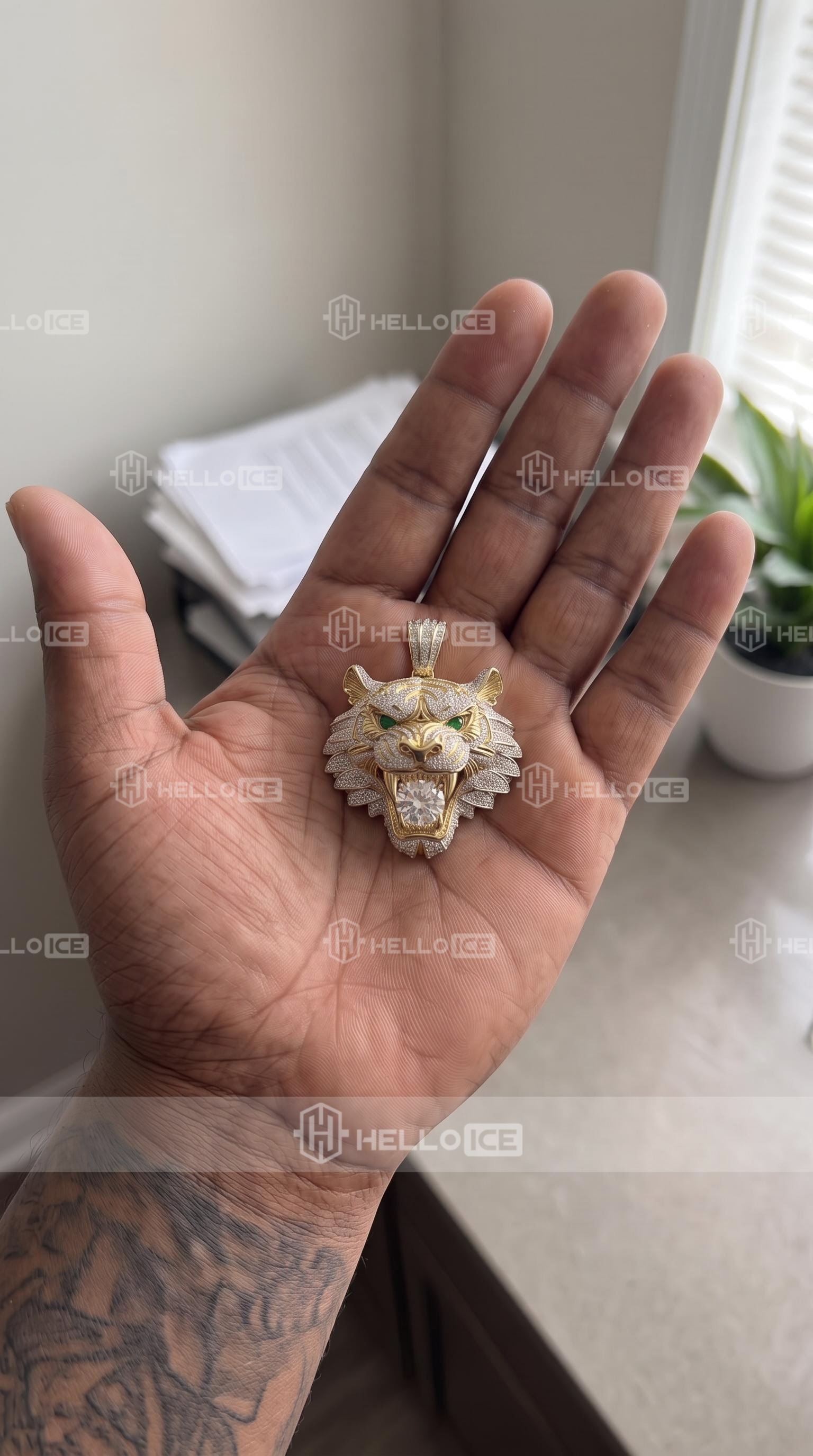 Helloice Review Image