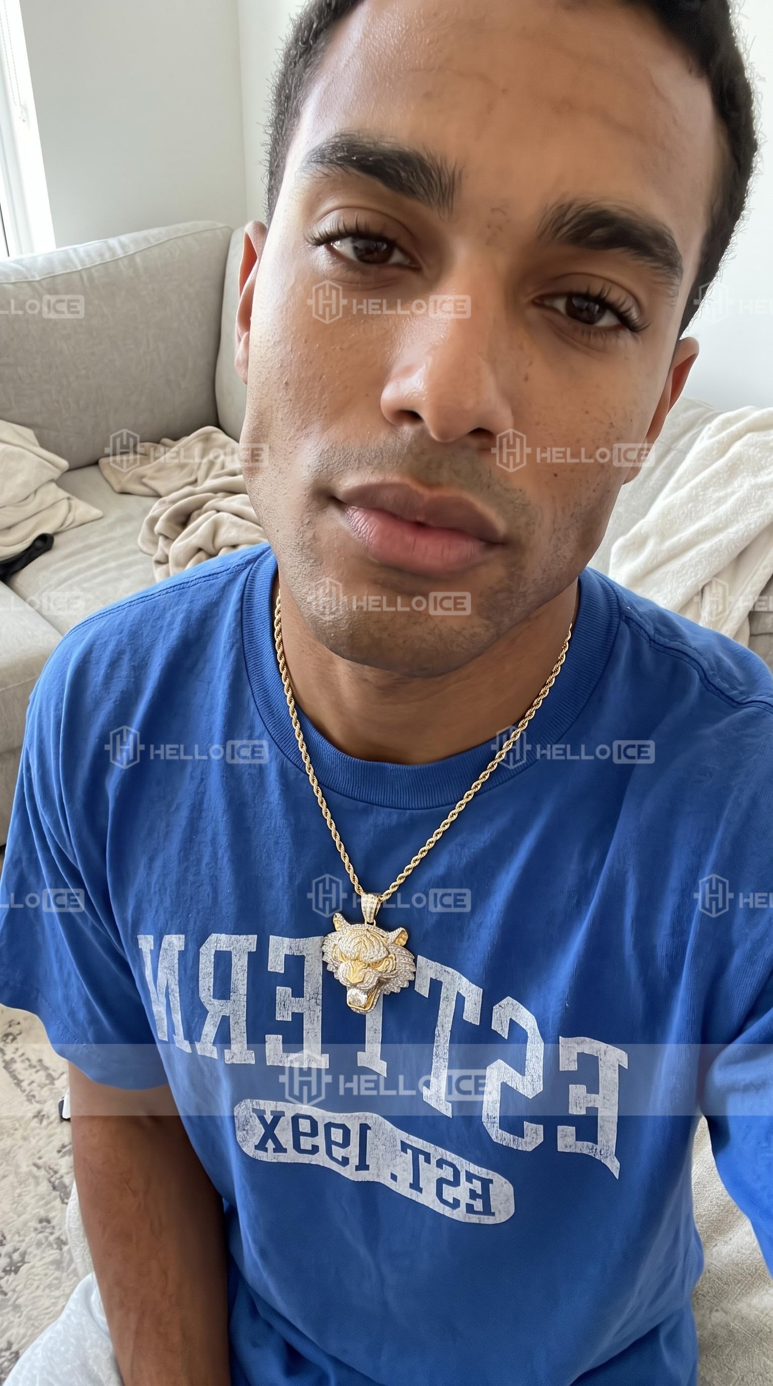 Helloice Review Image