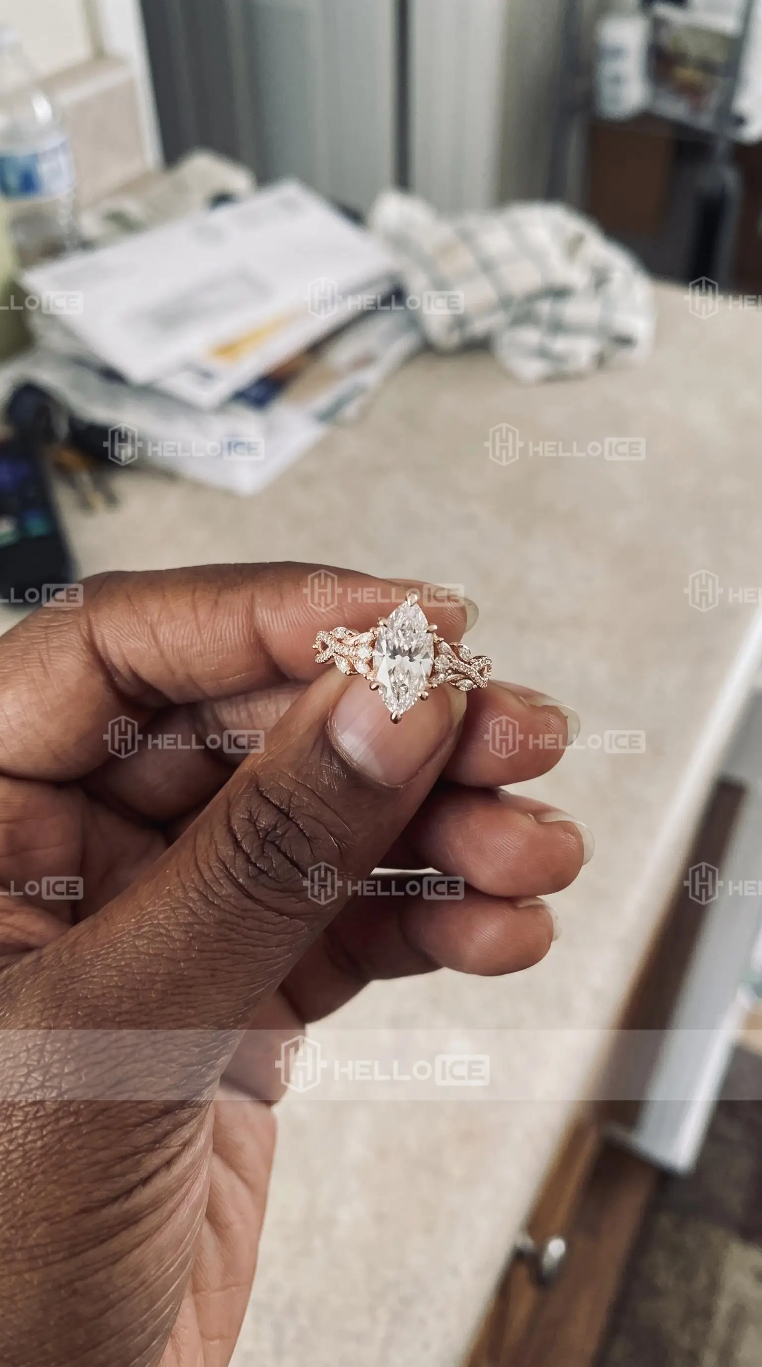 Helloice Review Image